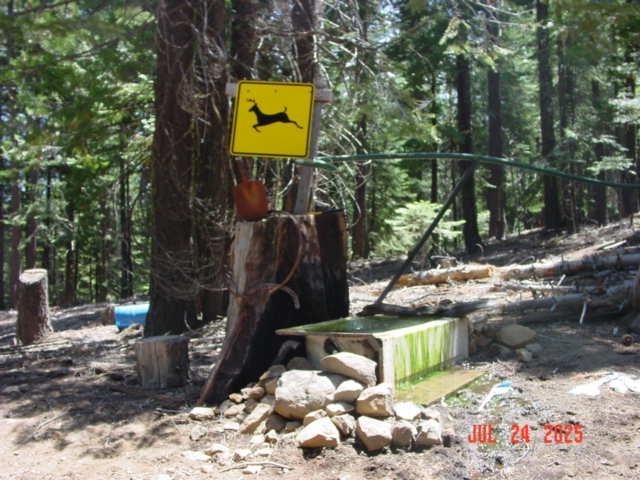 2729 Water Way, Clio, CA, 96106