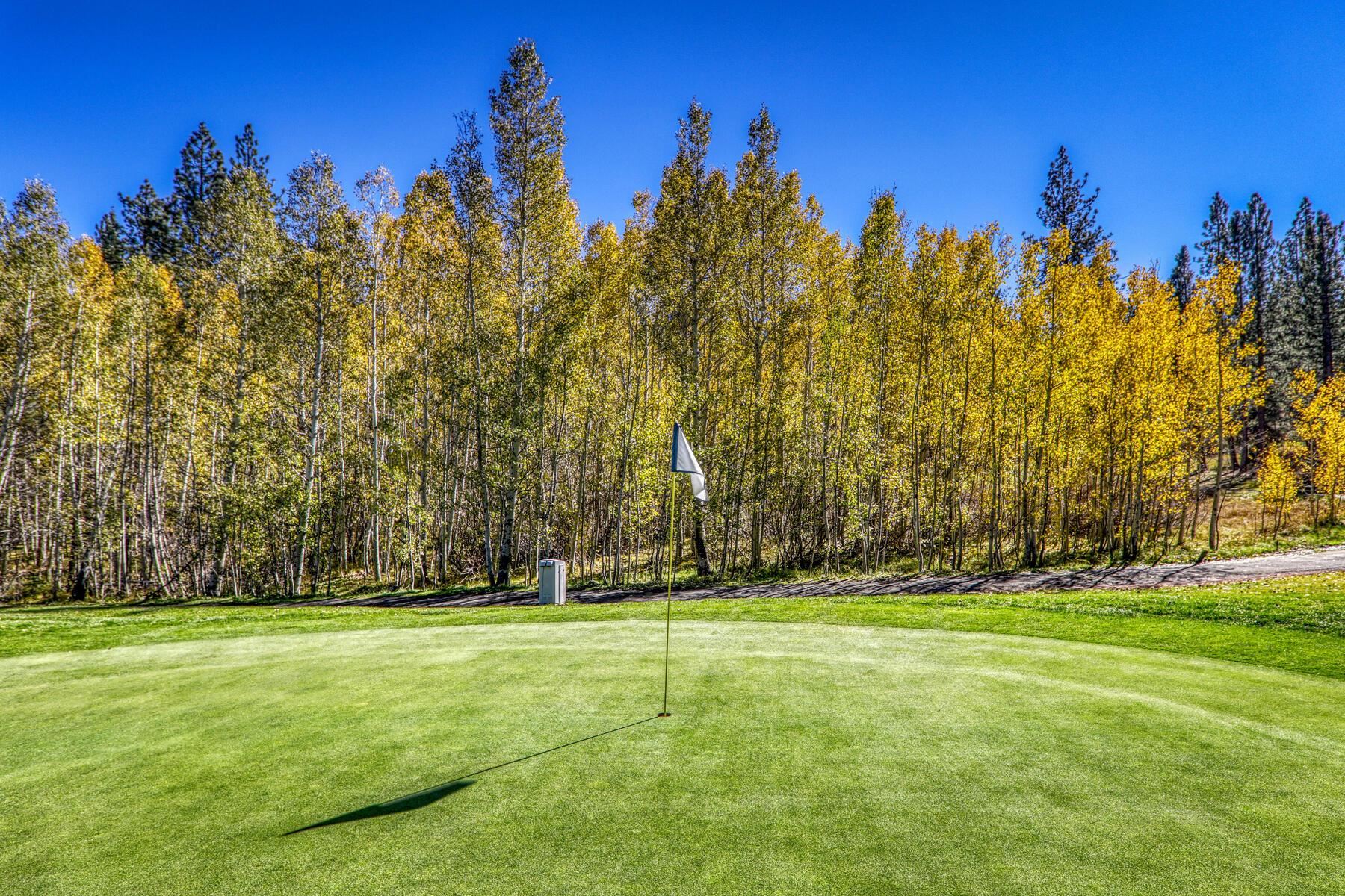 415 Lodgepole, Truckee, CA, 96160