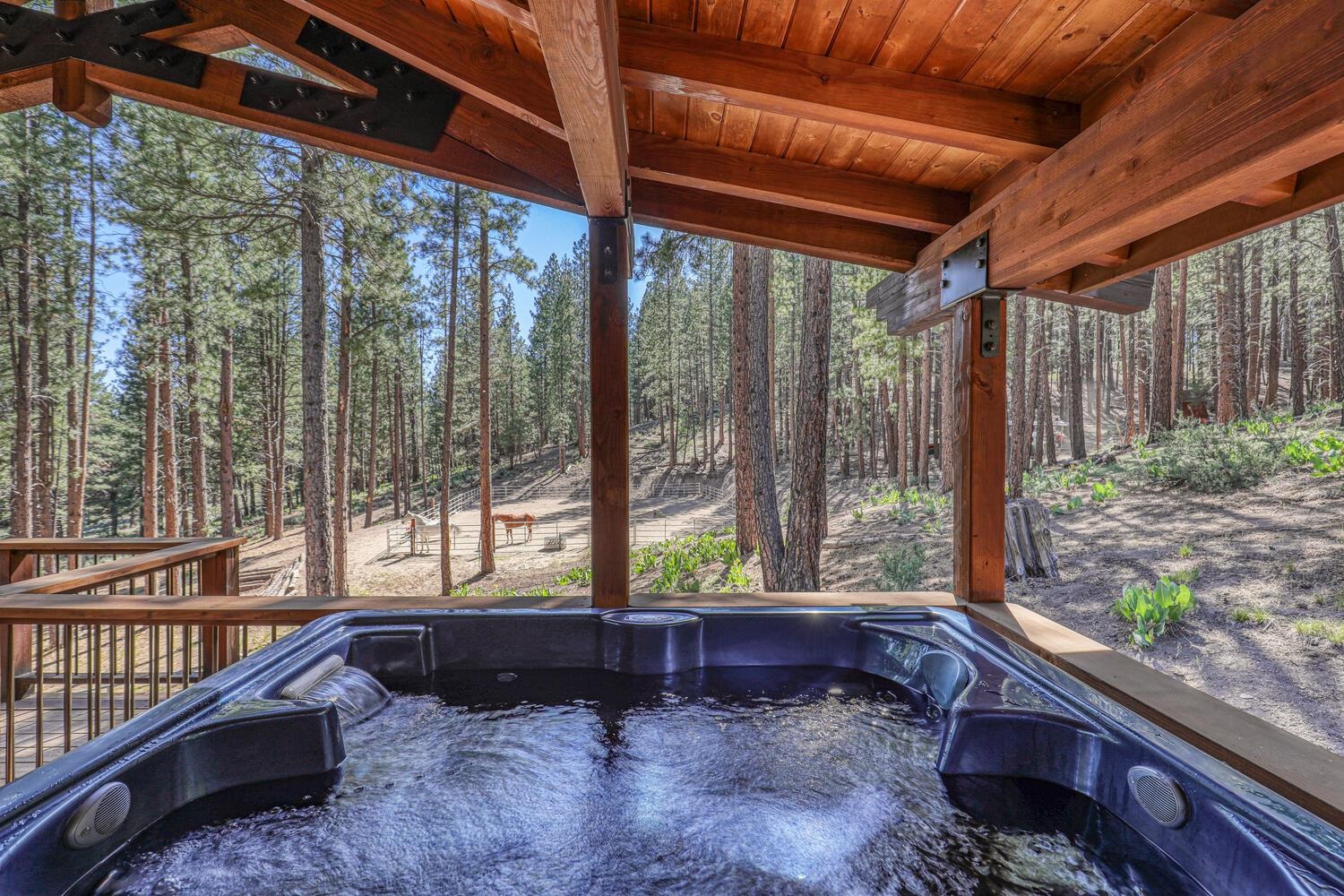16356 Greenlee, Truckee, CA, 96161