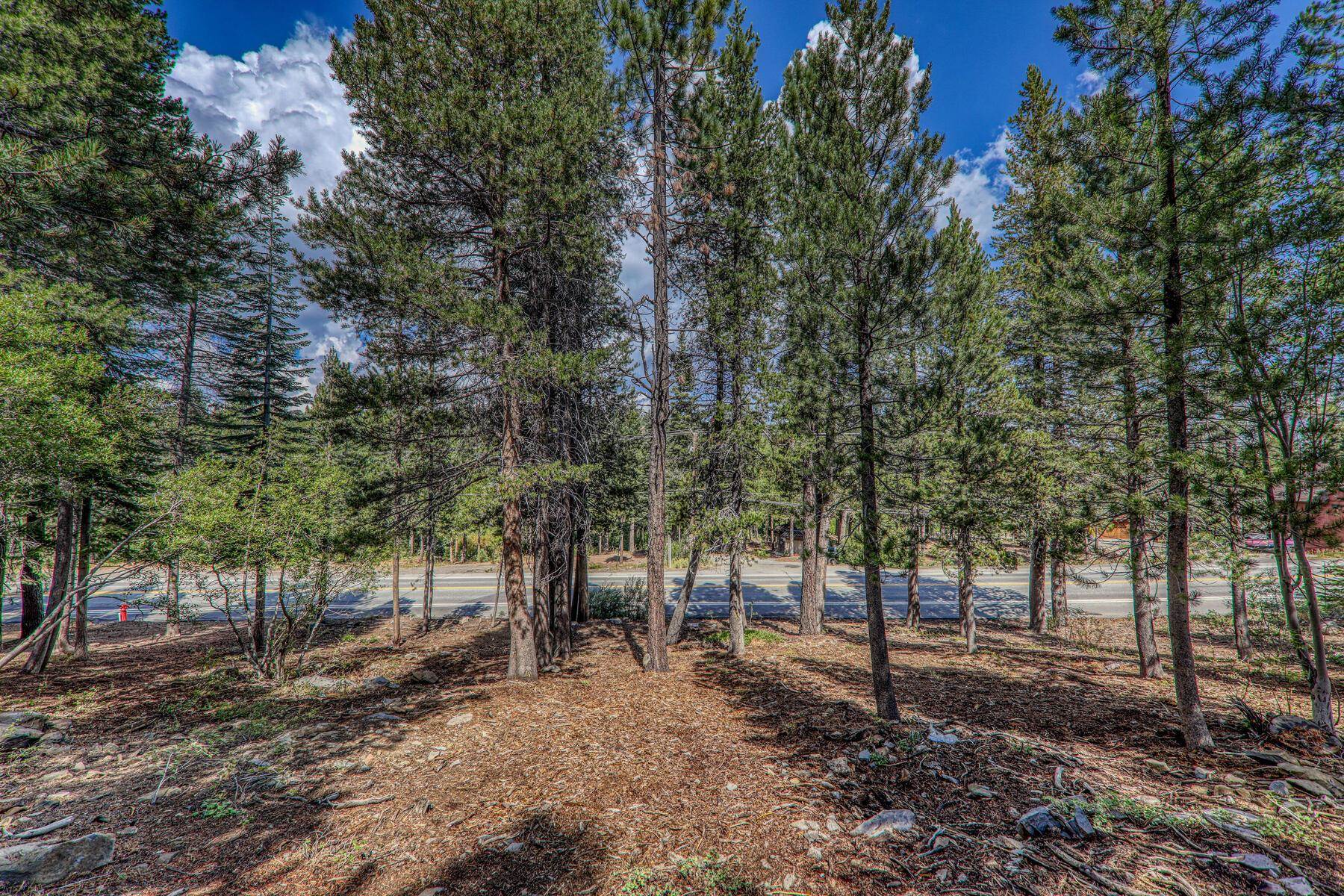 13854 Northwoods Boulevard, Truckee, CA, 96161
