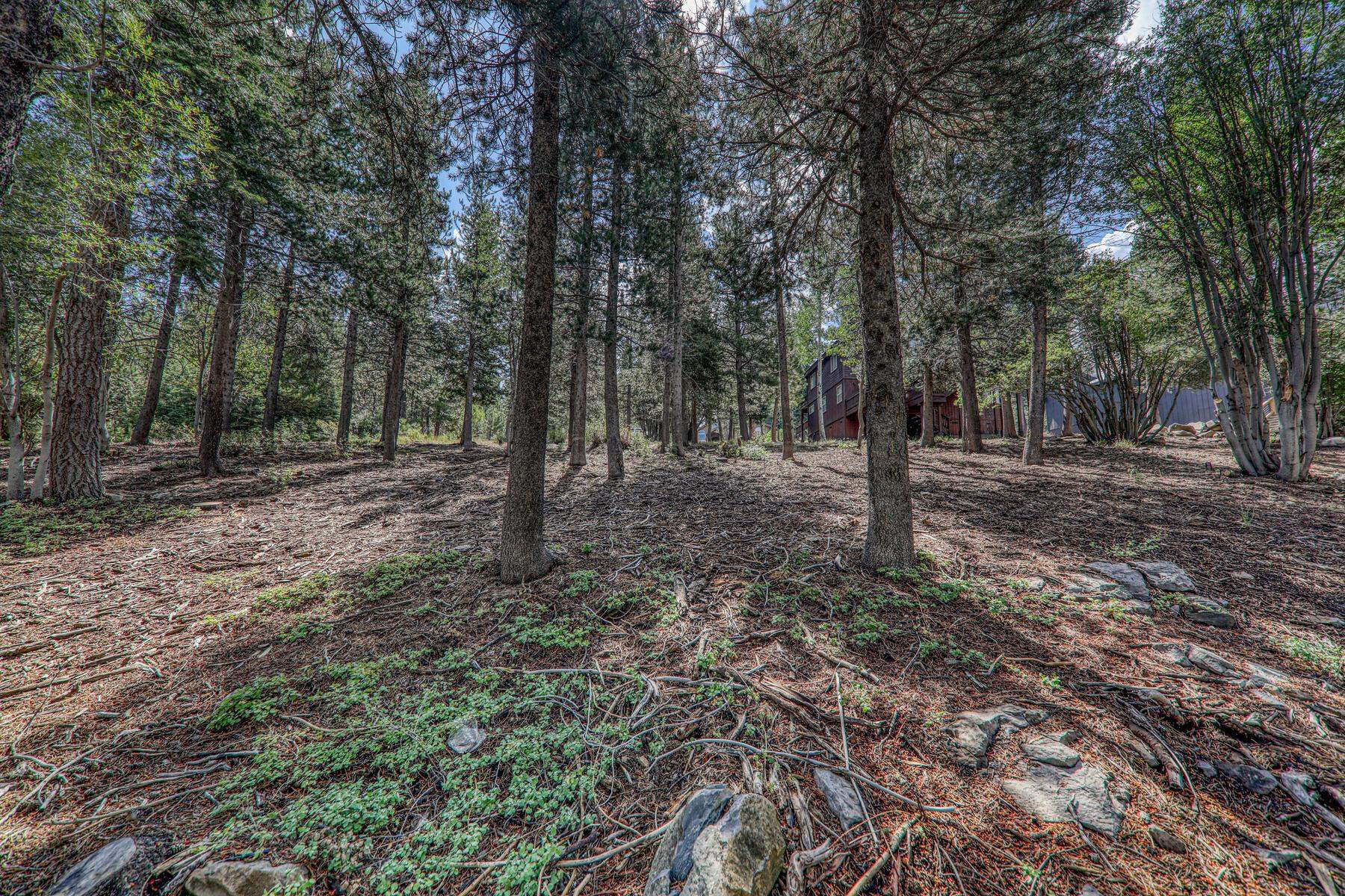 13854 Northwoods Boulevard, Truckee, CA, 96161