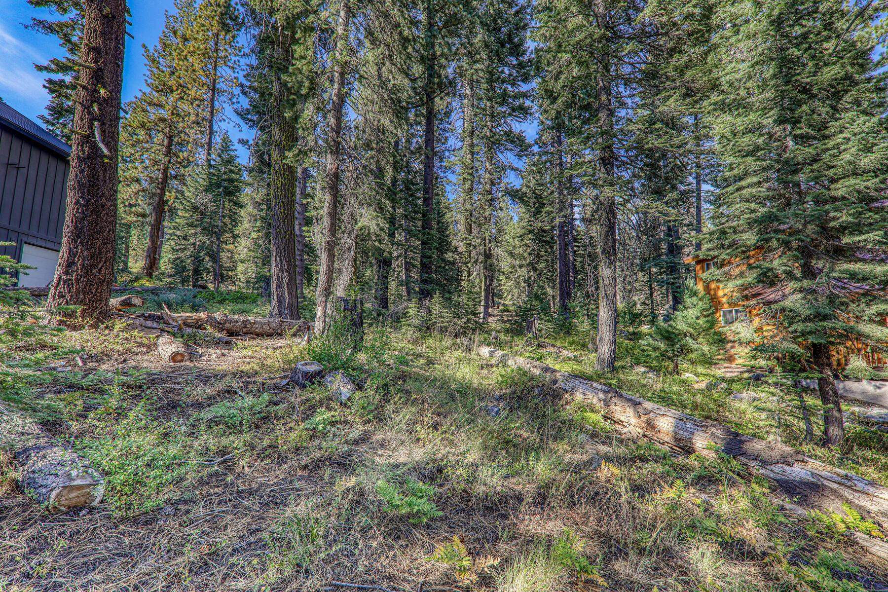 51207 Jeffery Pine Drive, Soda Springs, CA, 95728