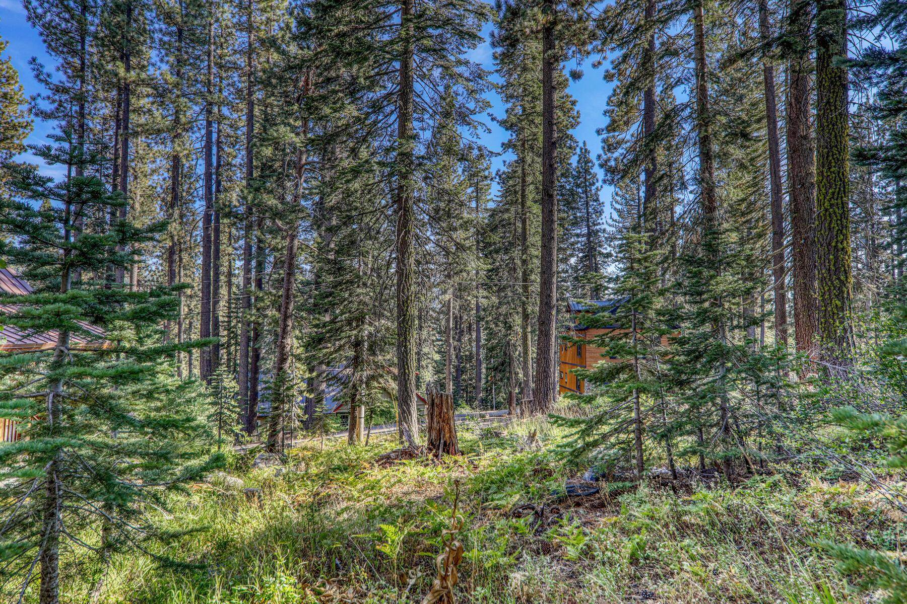51207 Jeffery Pine Drive, Soda Springs, CA, 95728