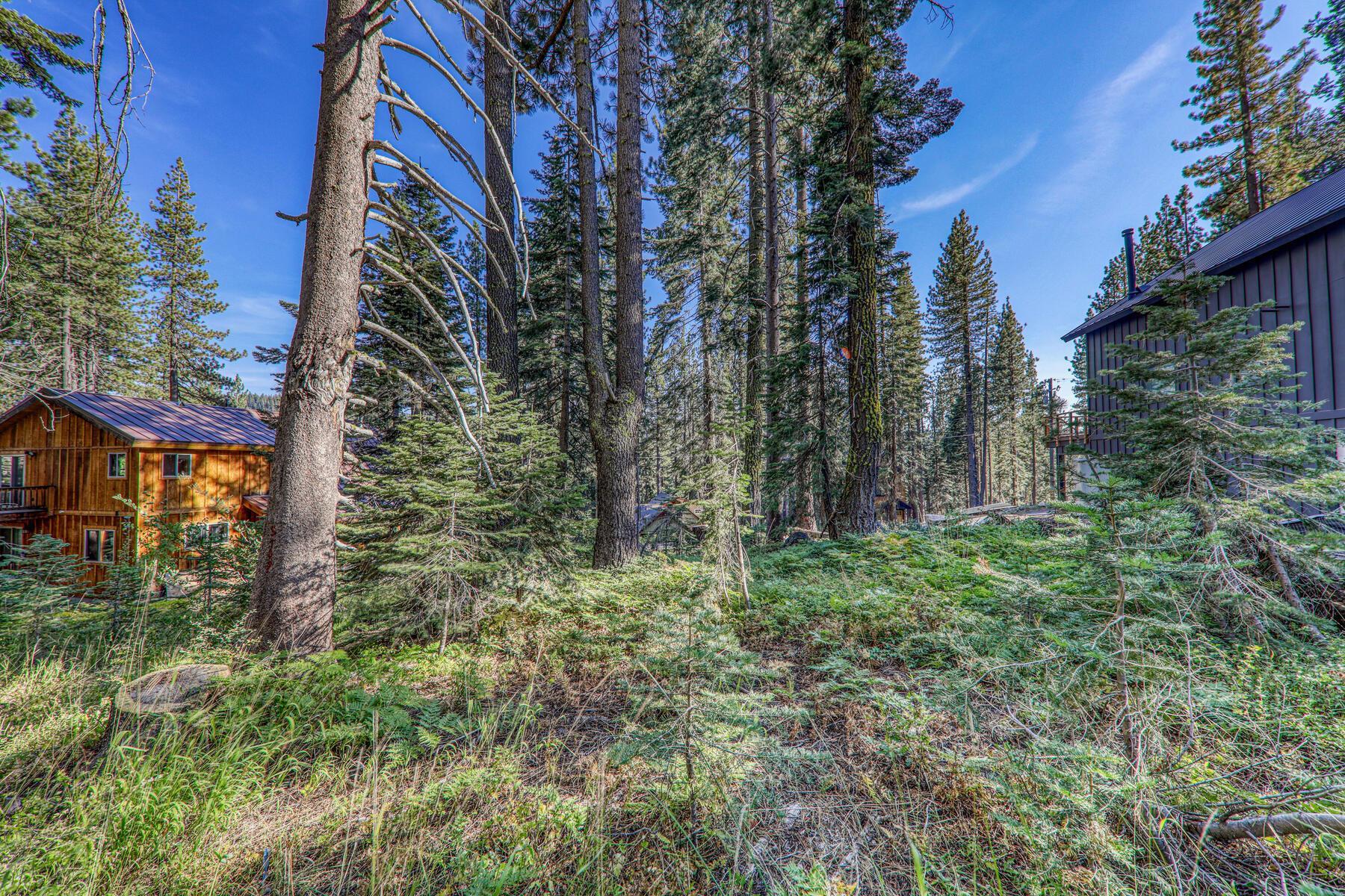 51207 Jeffery Pine Drive, Soda Springs, CA, 95728
