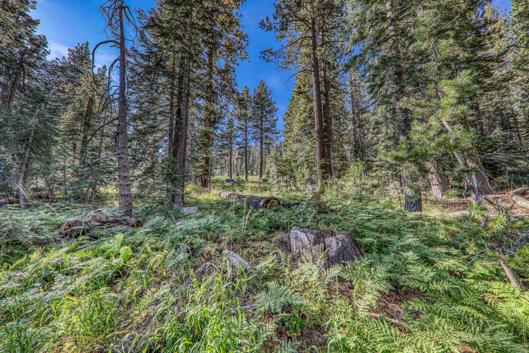 51207 Jeffery Pine Drive, Soda Springs, CA, 95728