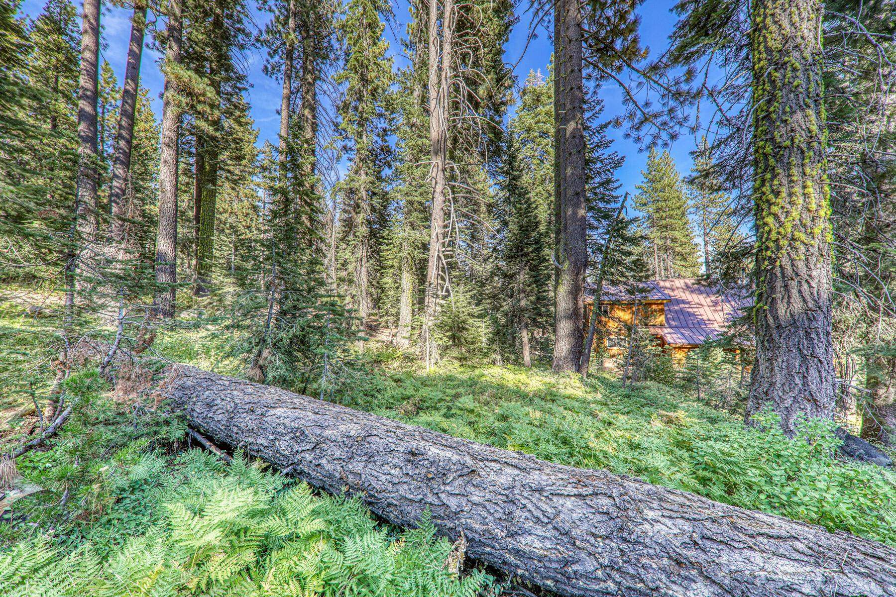 51207 Jeffery Pine Drive, Soda Springs, CA, 95728