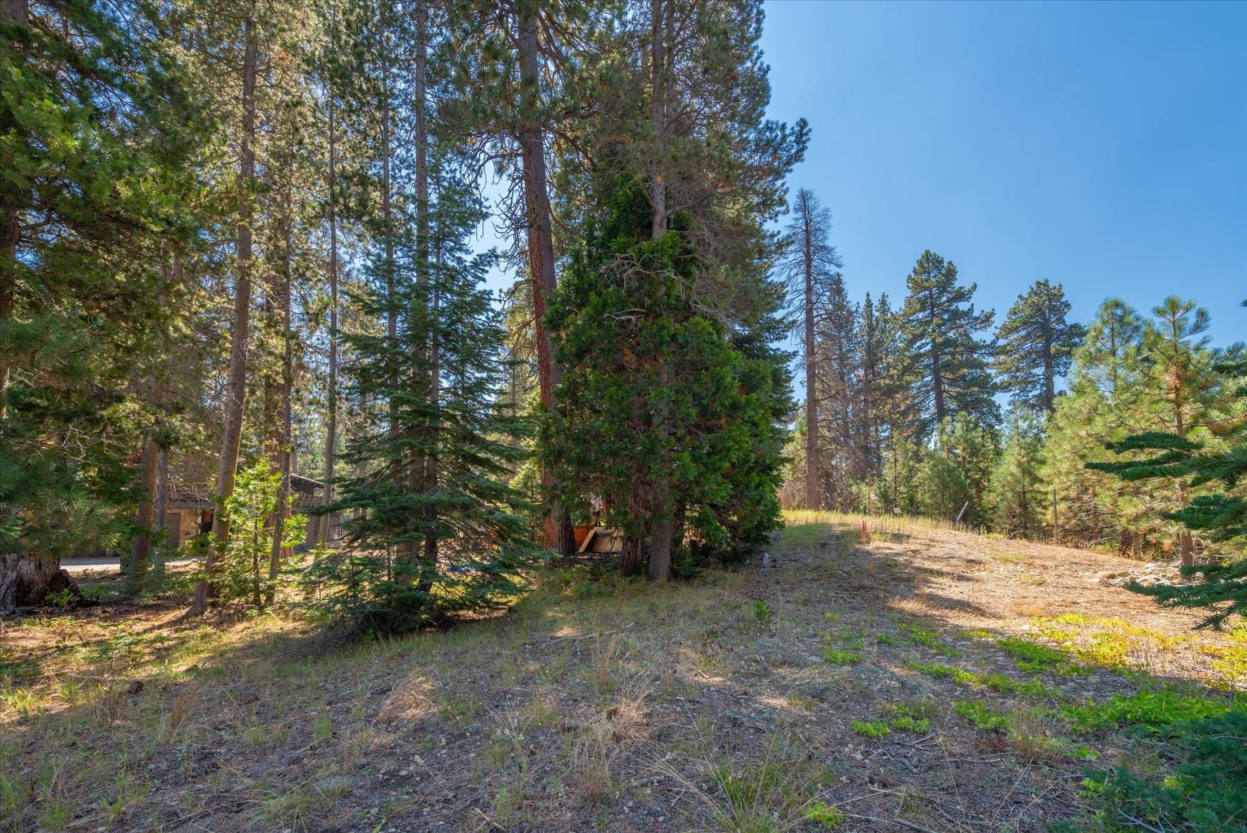 6705 West Lake Boulevard, Tahoma, CA, 96142-2555