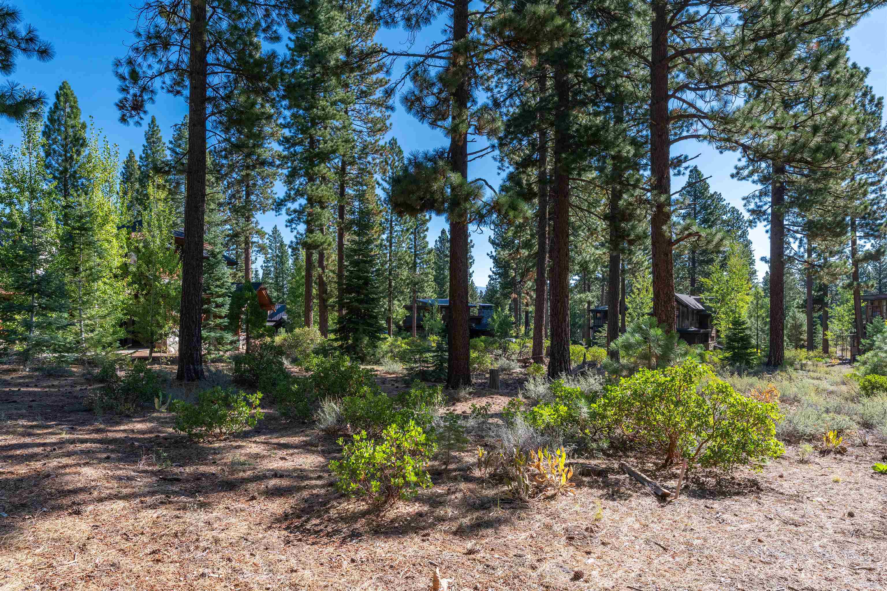 8331 Thunderbird Circle, Truckee, CA, 96161