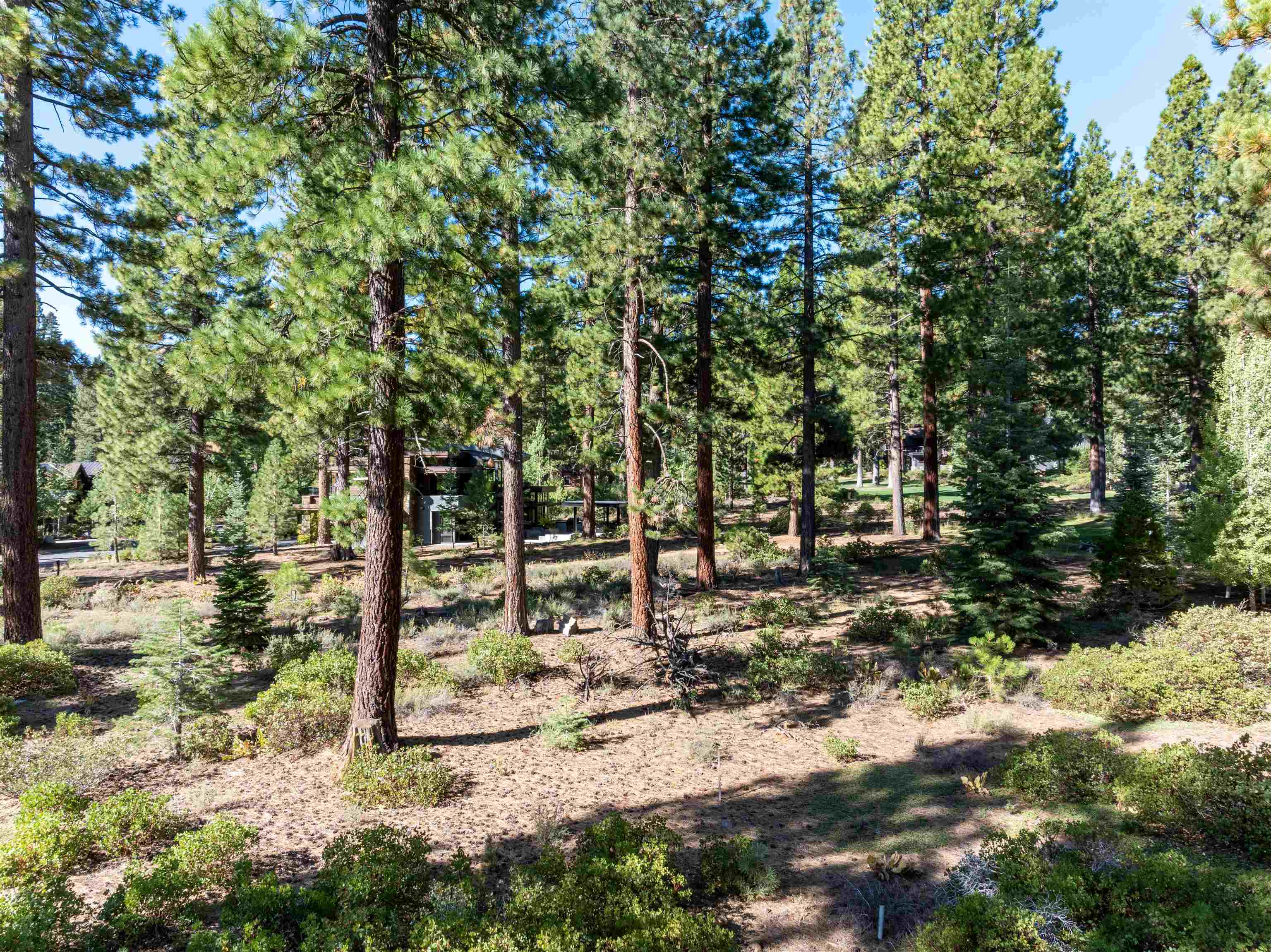 8331 Thunderbird Circle, Truckee, CA, 96161