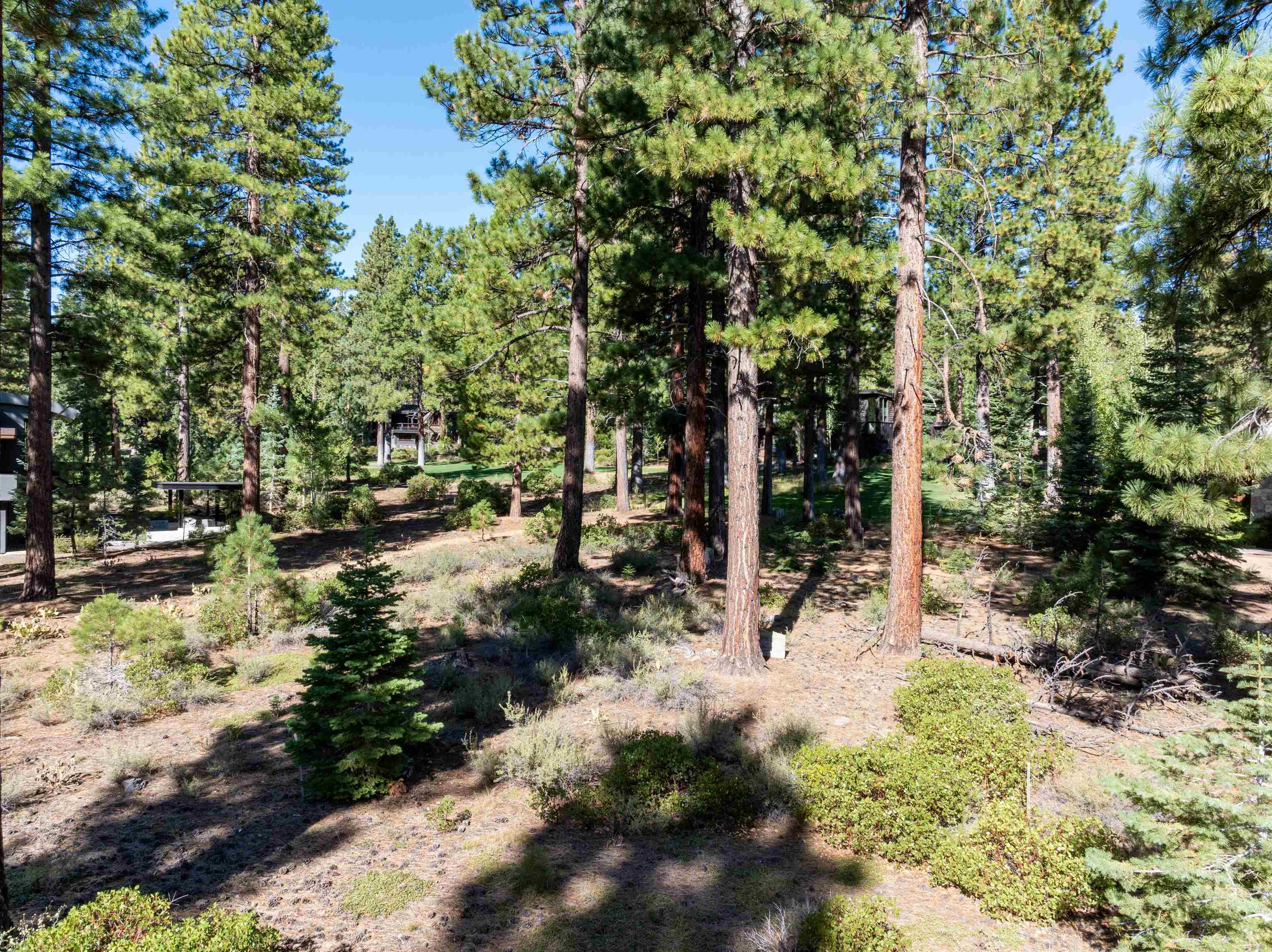8331 Thunderbird Circle, Truckee, CA, 96161
