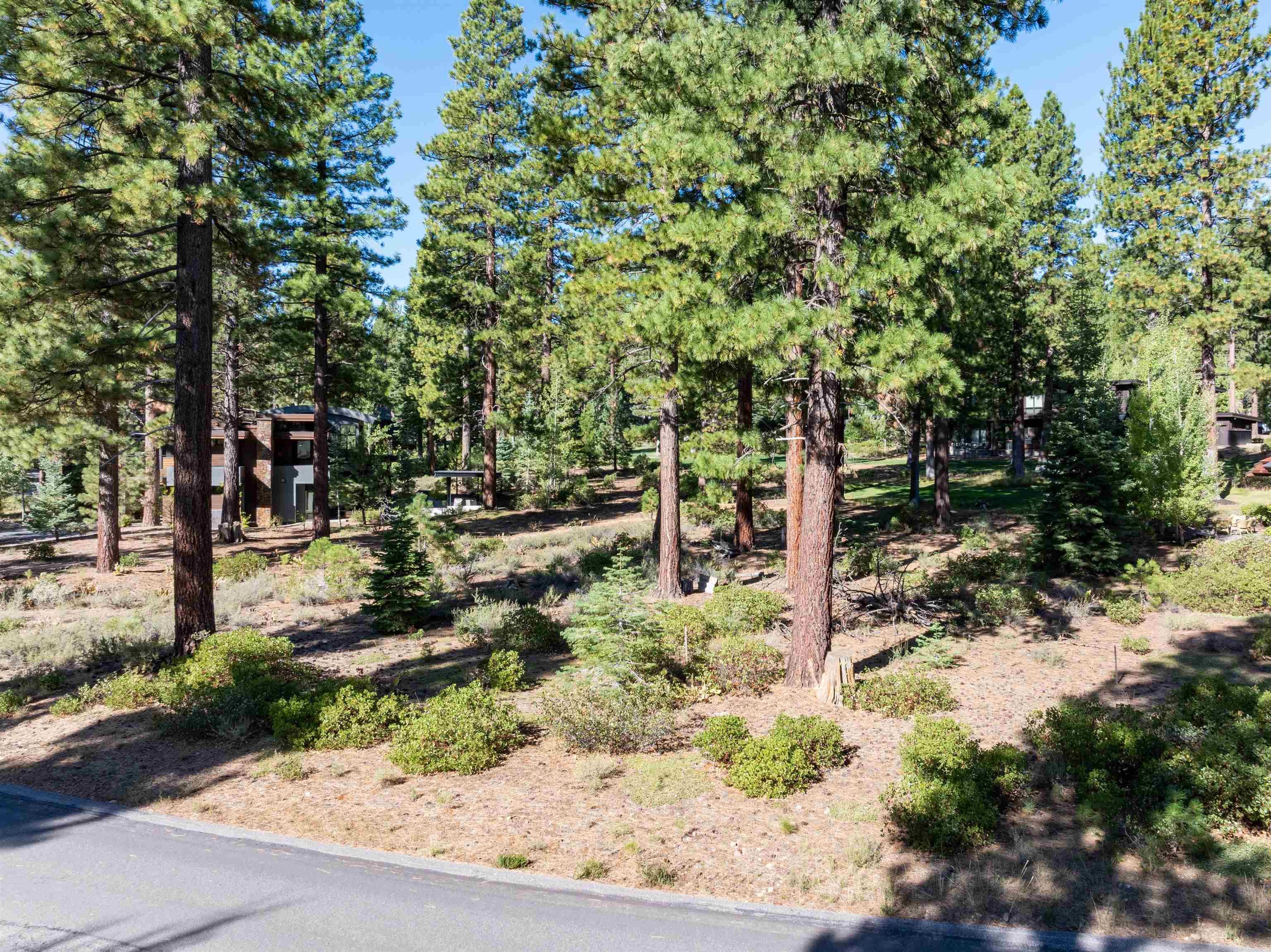8331 Thunderbird Circle, Truckee, CA, 96161