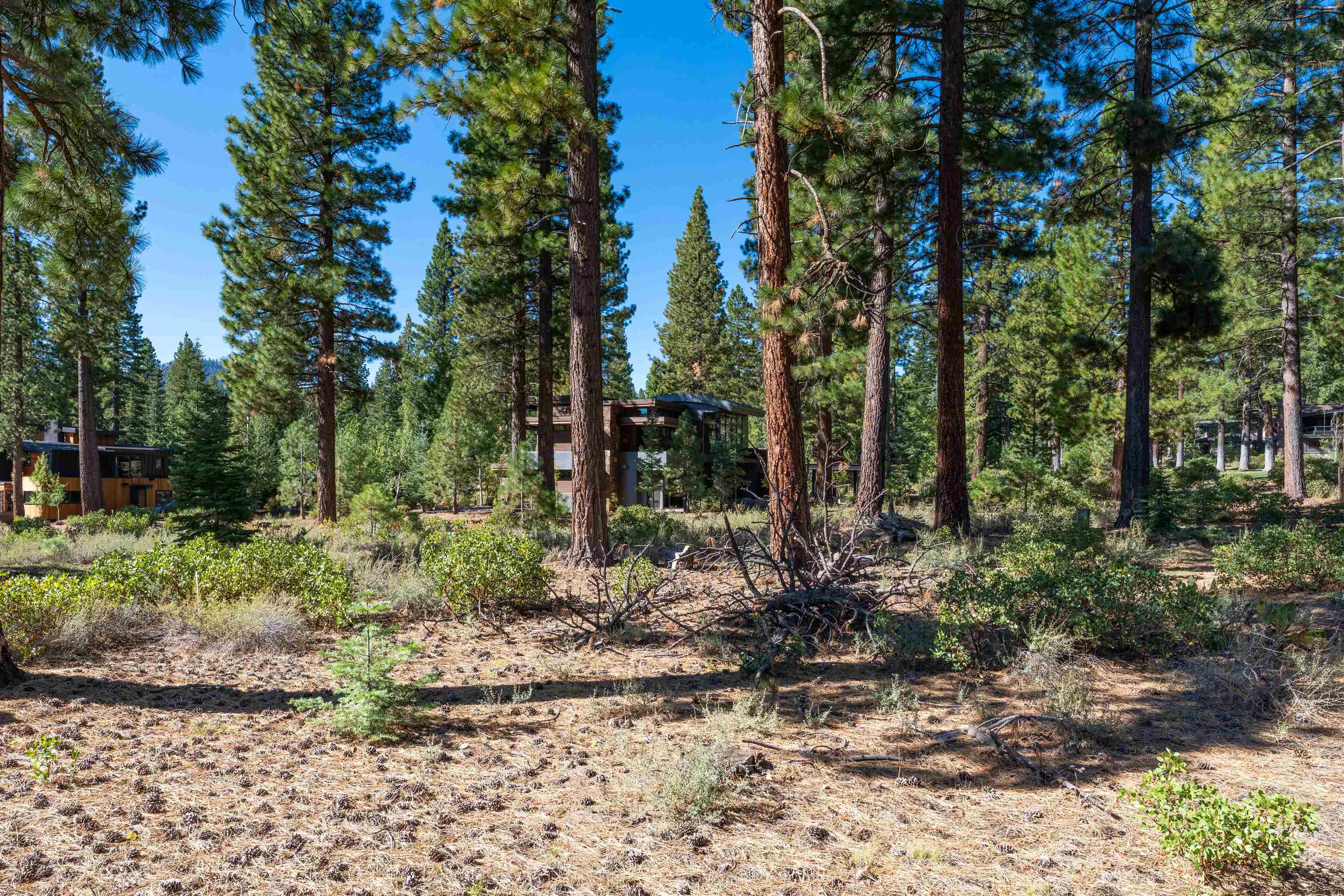 8331 Thunderbird Circle, Truckee, CA, 96161