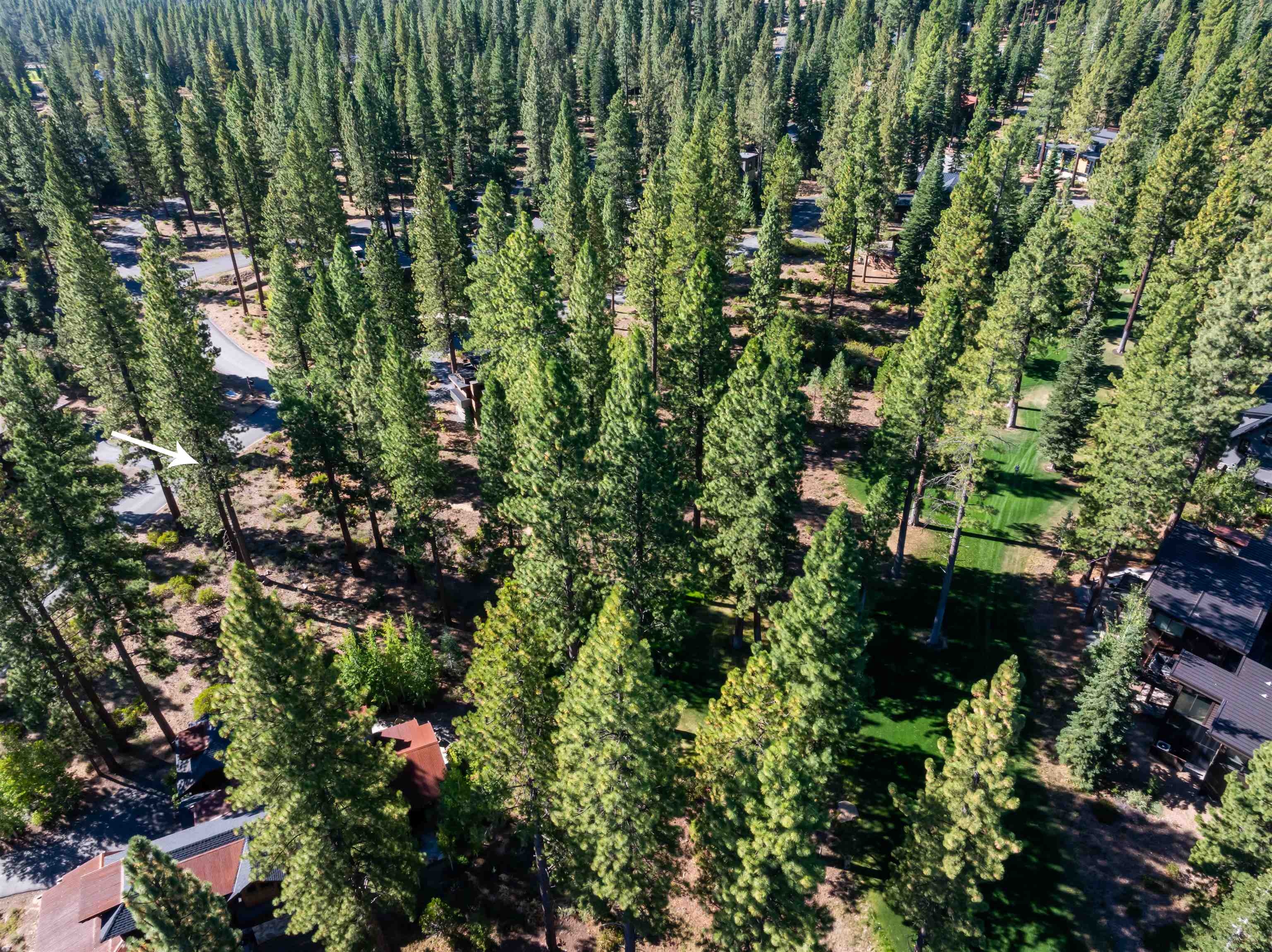 8331 Thunderbird Circle, Truckee, CA, 96161