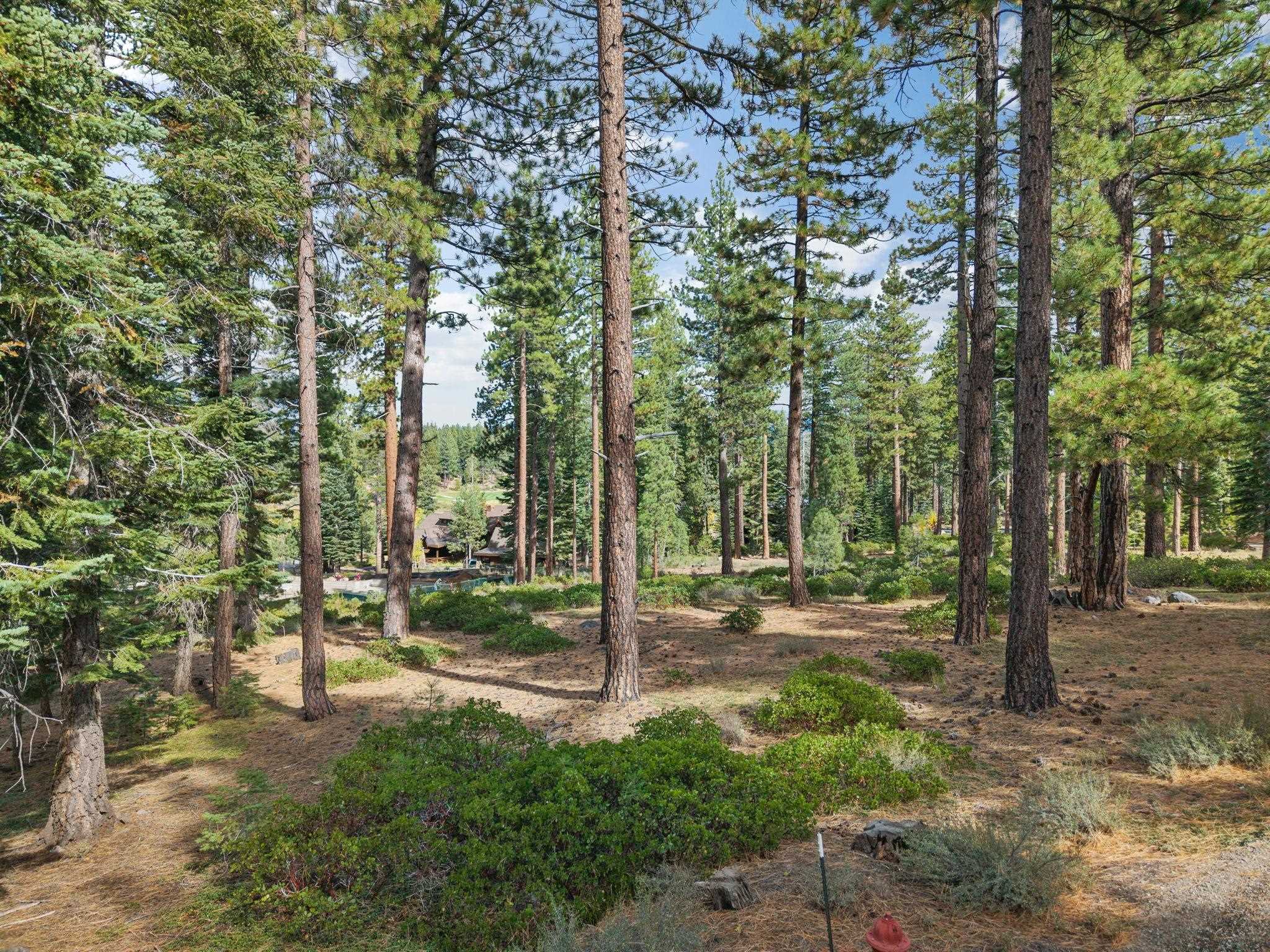 11317 Elle Ellen, Truckee, CA, 96161
