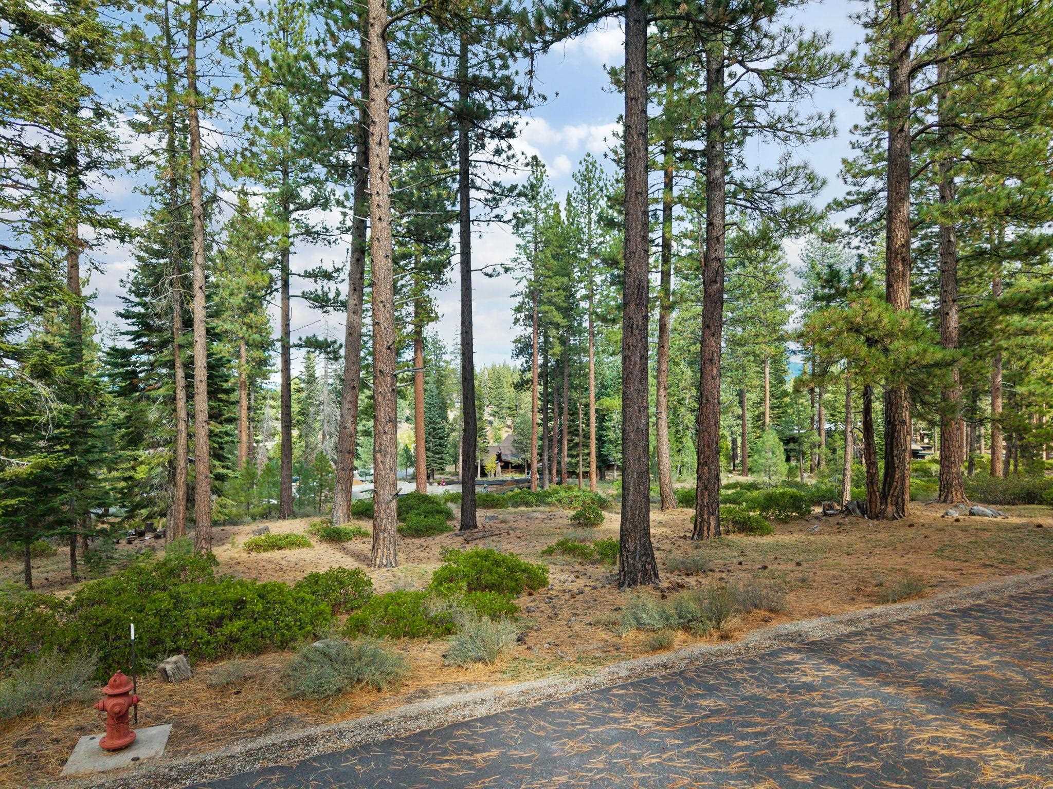 11317 Elle Ellen, Truckee, CA, 96161