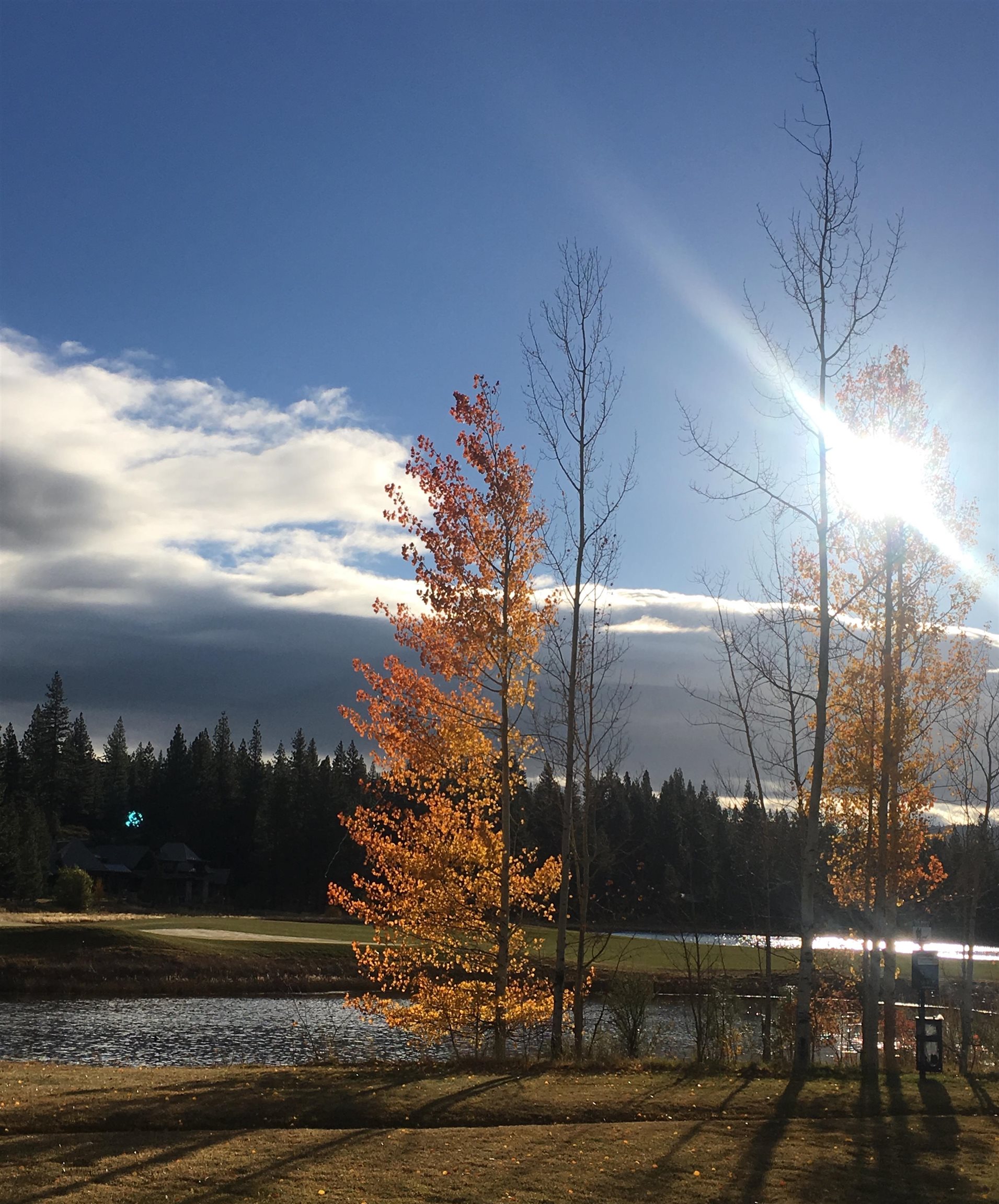 11317 Elle Ellen, Truckee, CA, 96161