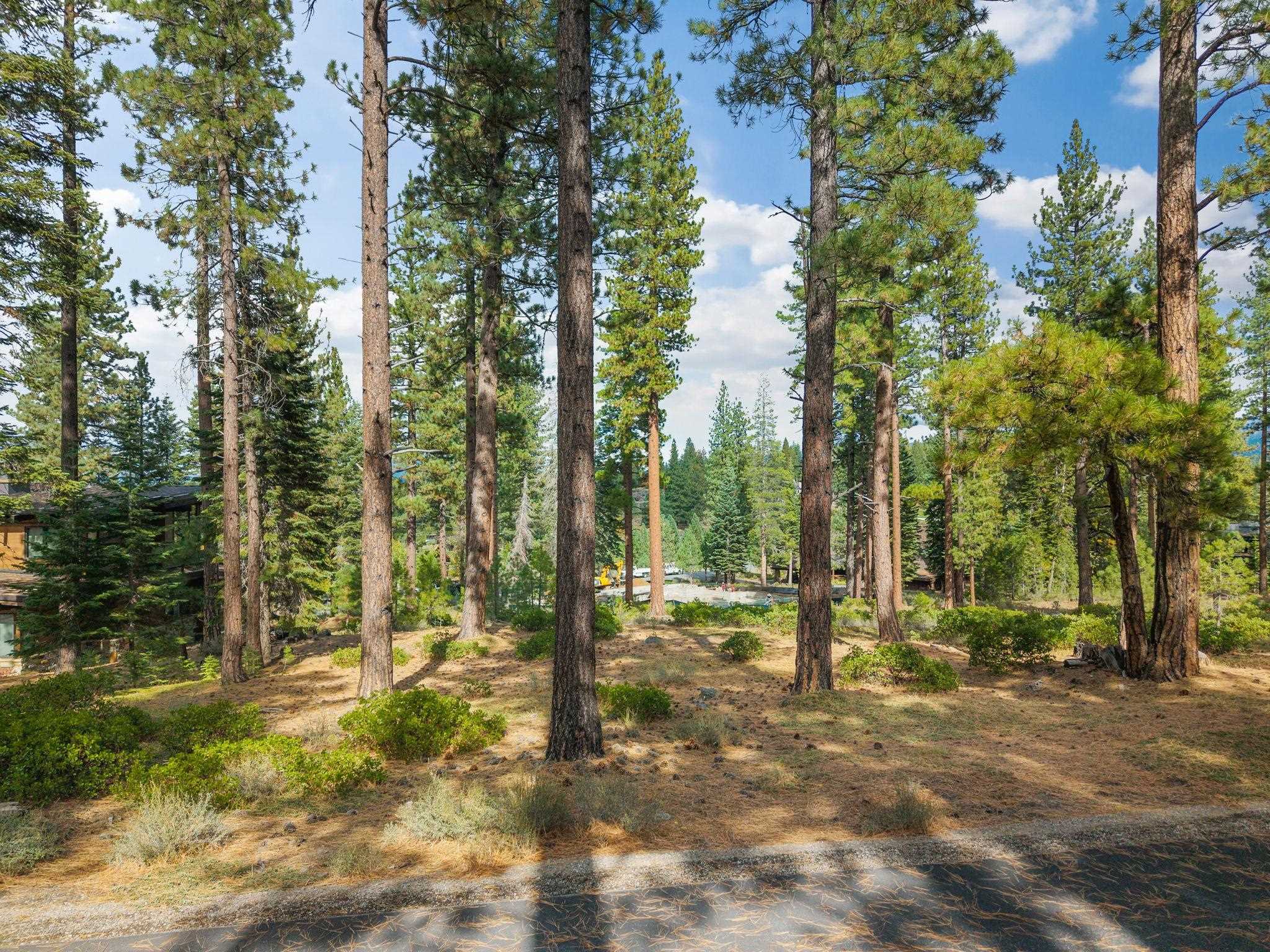 11317 Elle Ellen, Truckee, CA, 96161