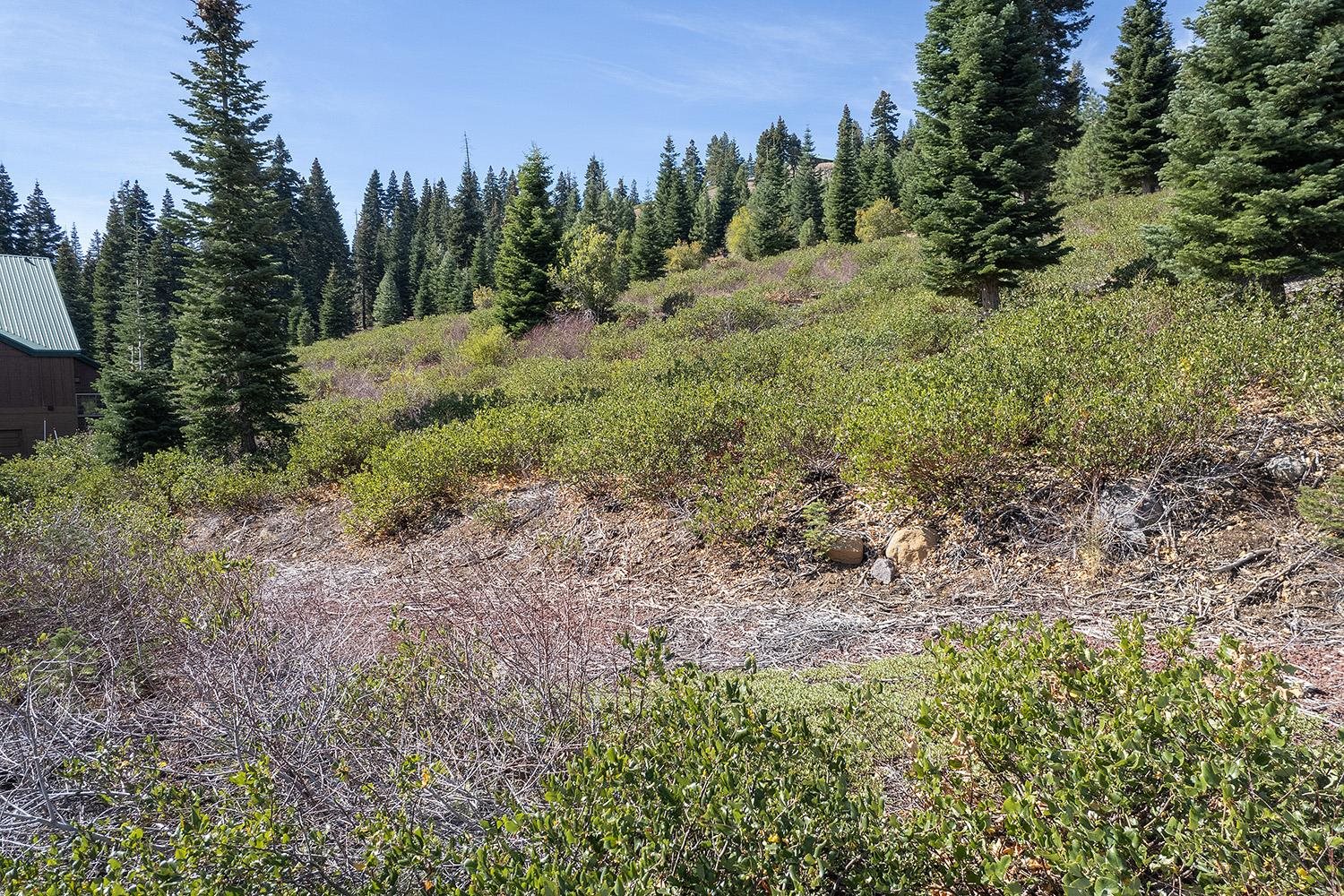 13038 Skislope Way, Truckee, CA, 96161-7031