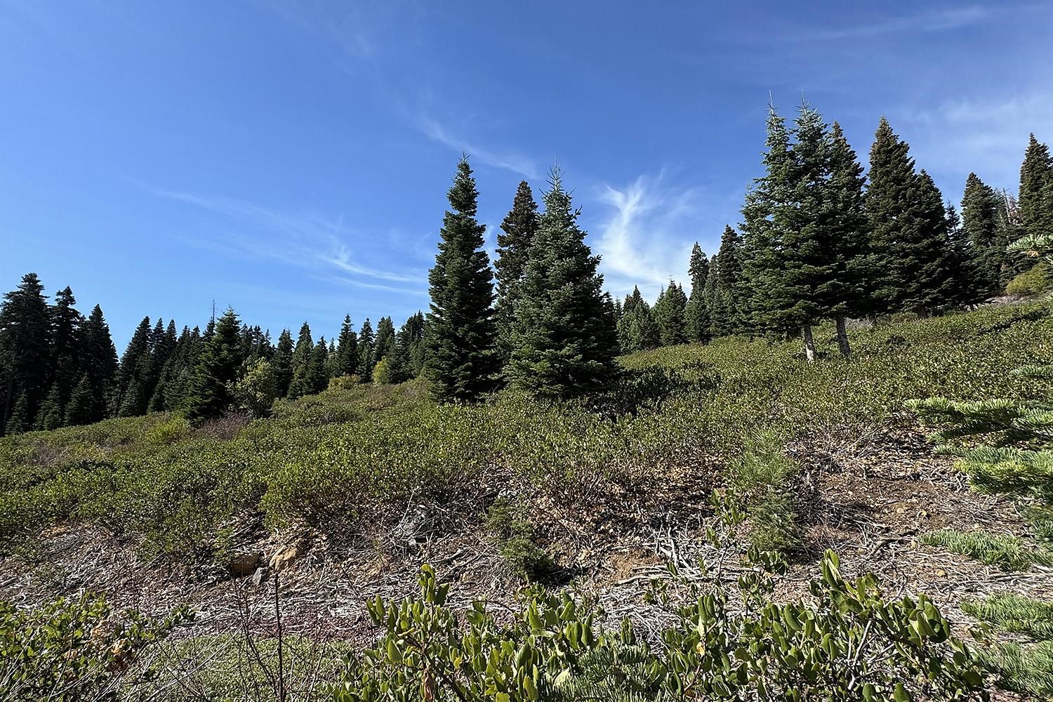 13038 Skislope Way, Truckee, CA, 96161-7031