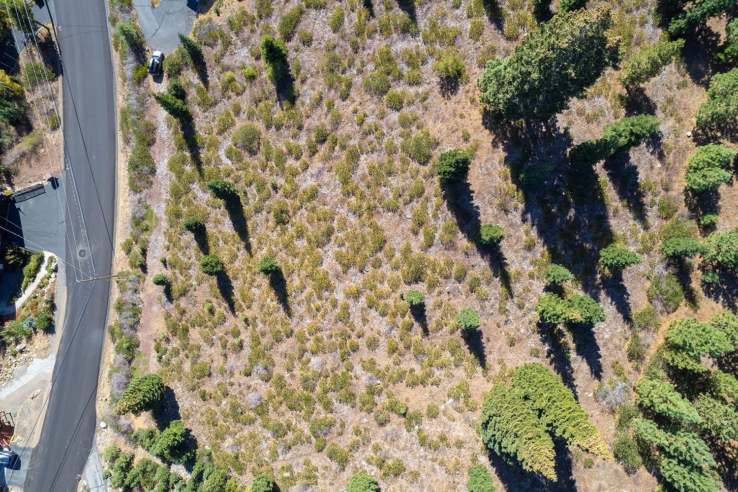 13038 Skislope Way, Truckee, CA, 96161-7031