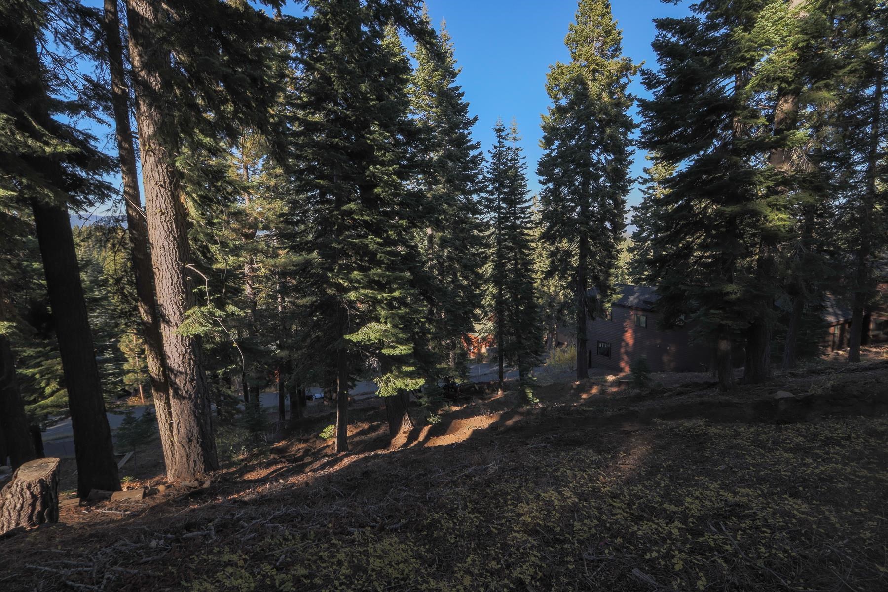 11316 Skislope Way, Truckee, CA, 96161