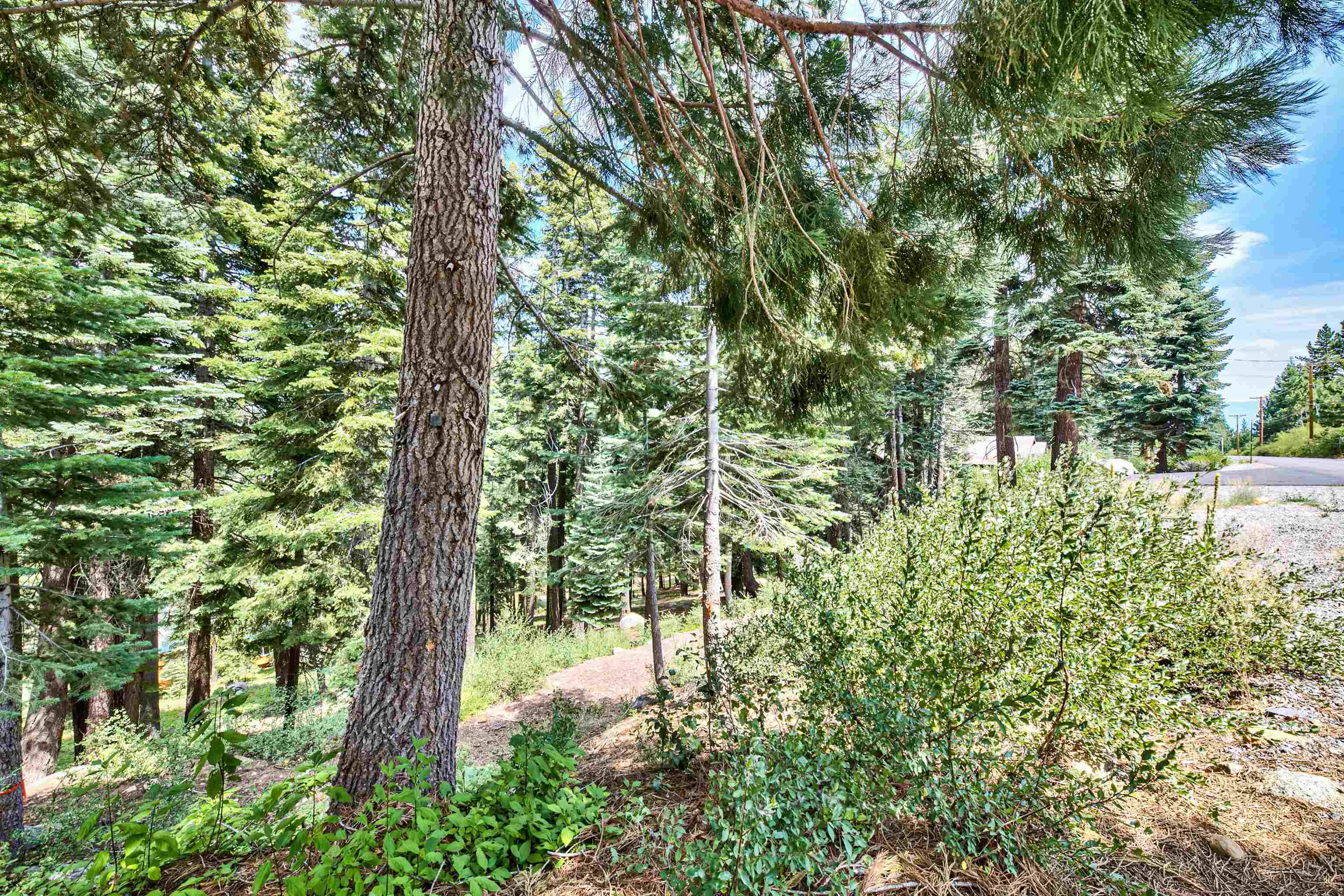 12005 Skislope Way, Truckee, CA, 96161-0000