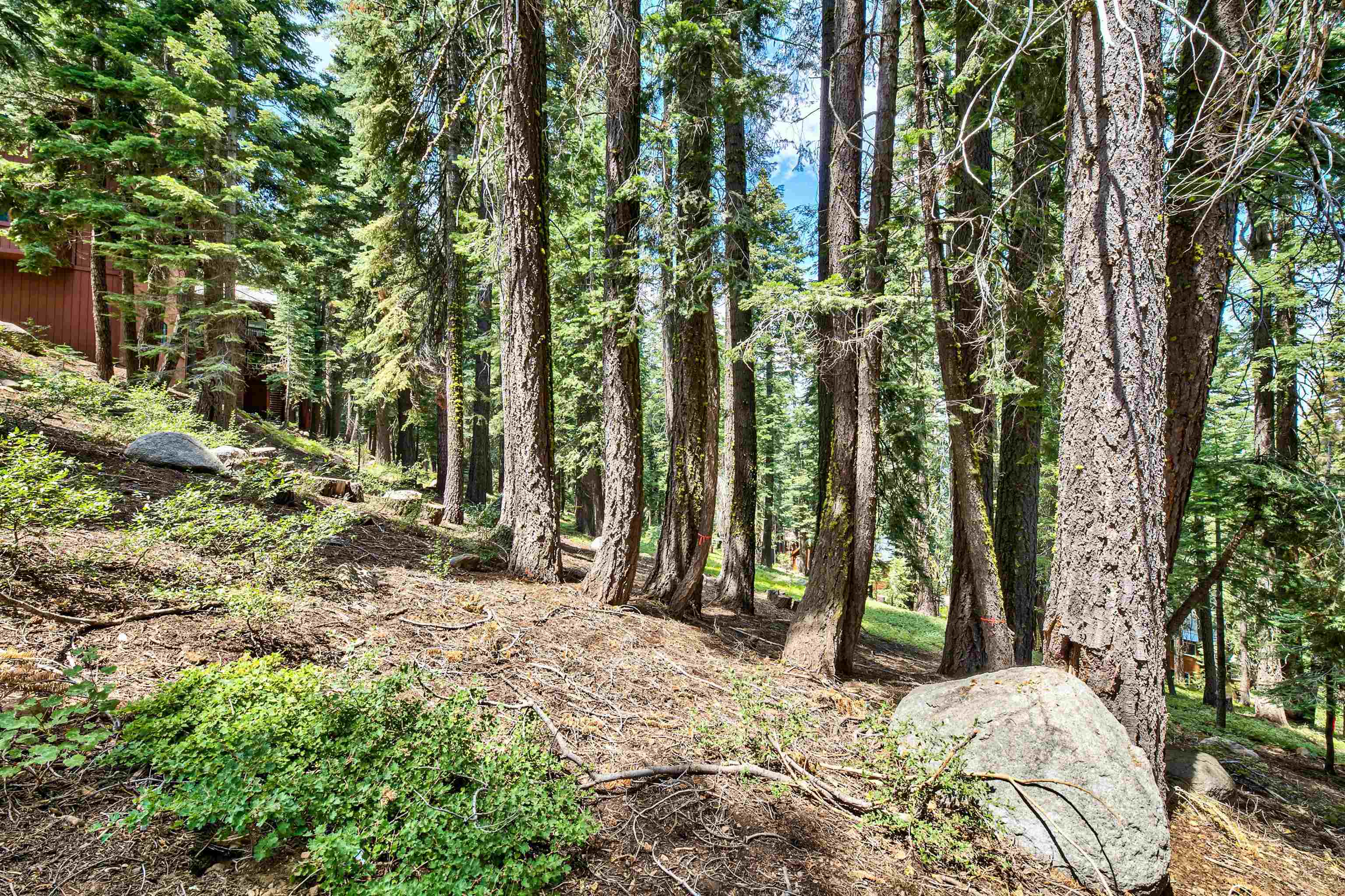 12005 Skislope Way, Truckee, CA, 96161-0000