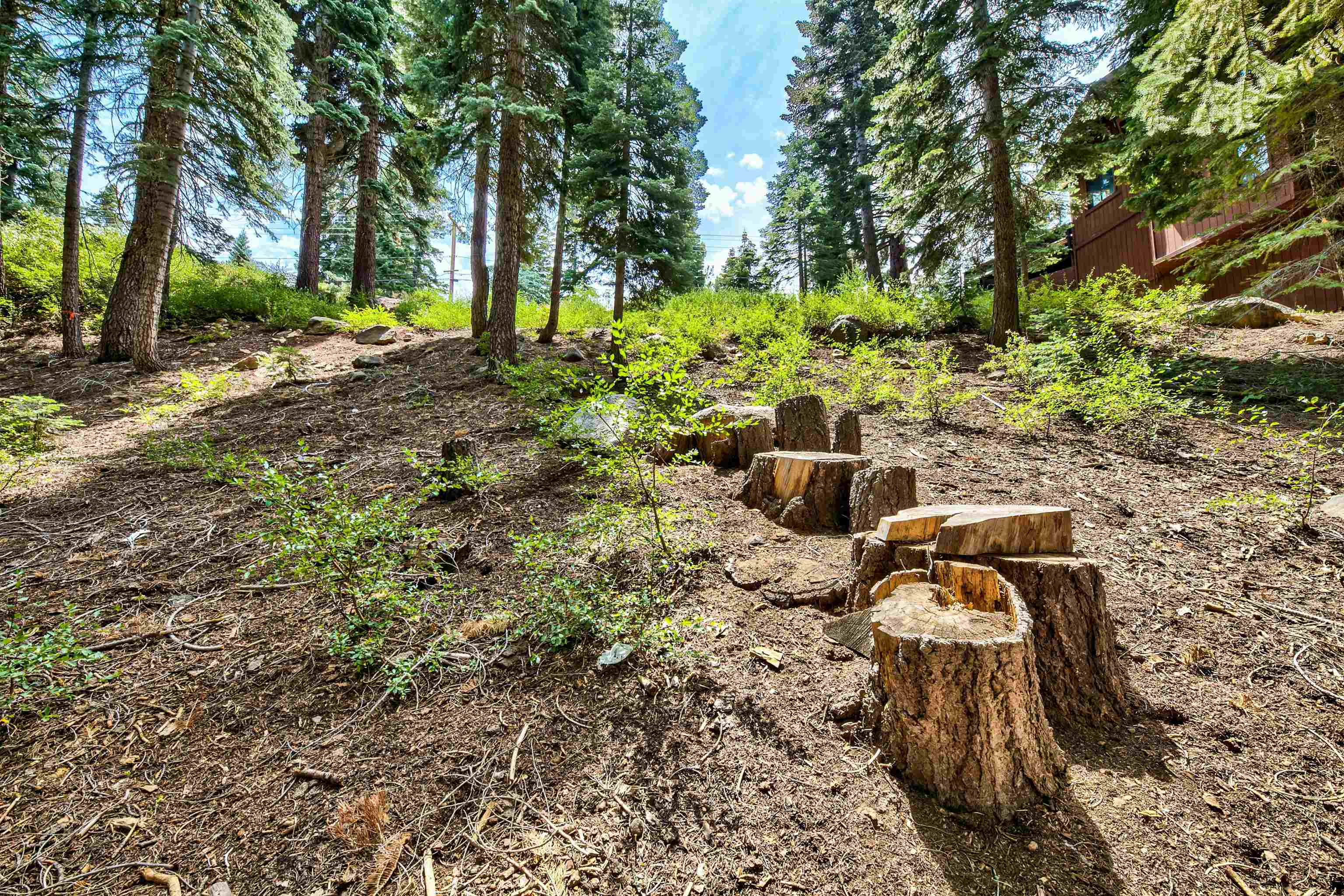 12005 Skislope Way, Truckee, CA, 96161-0000