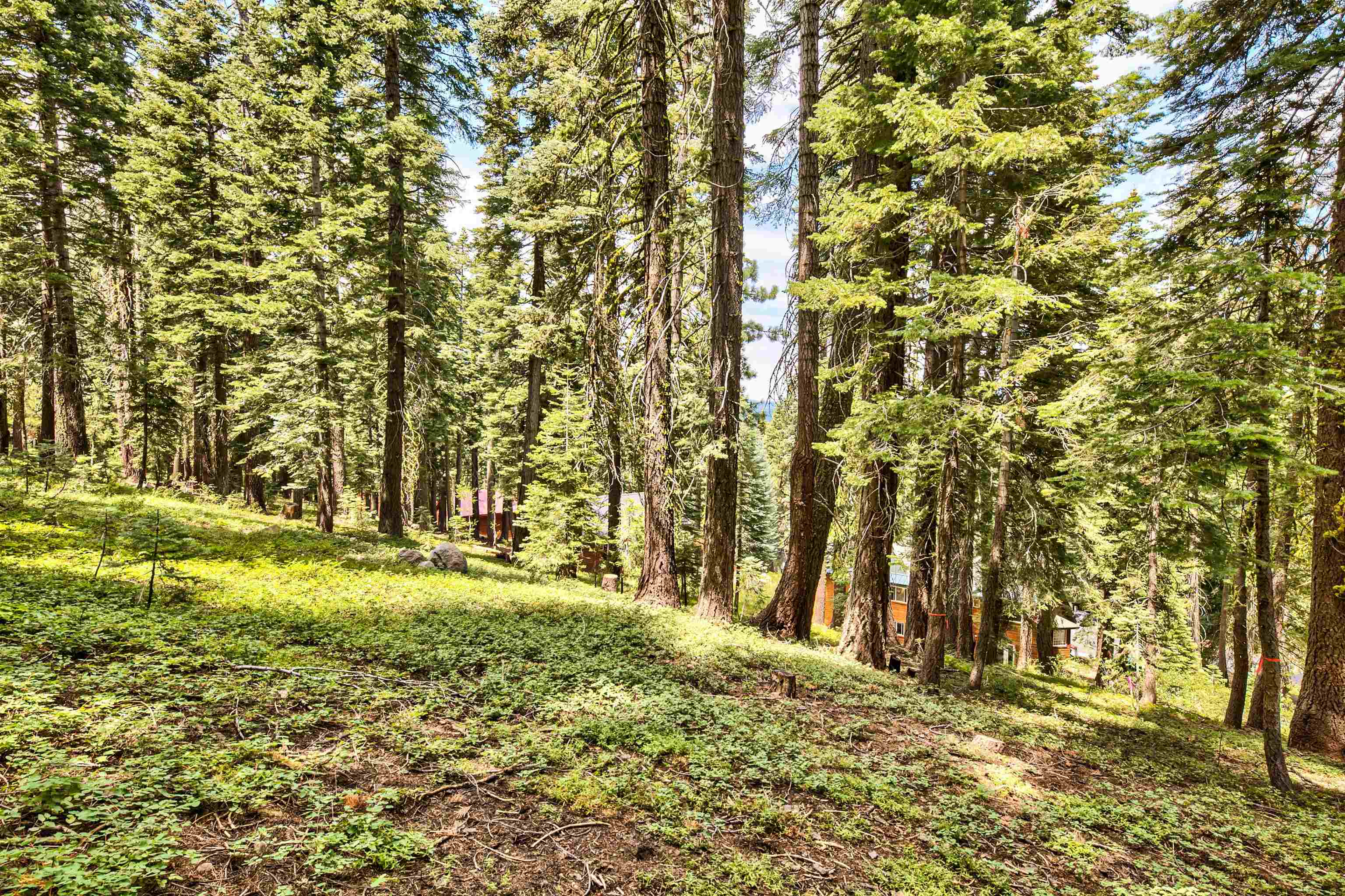 12005 Skislope Way, Truckee, CA, 96161-0000