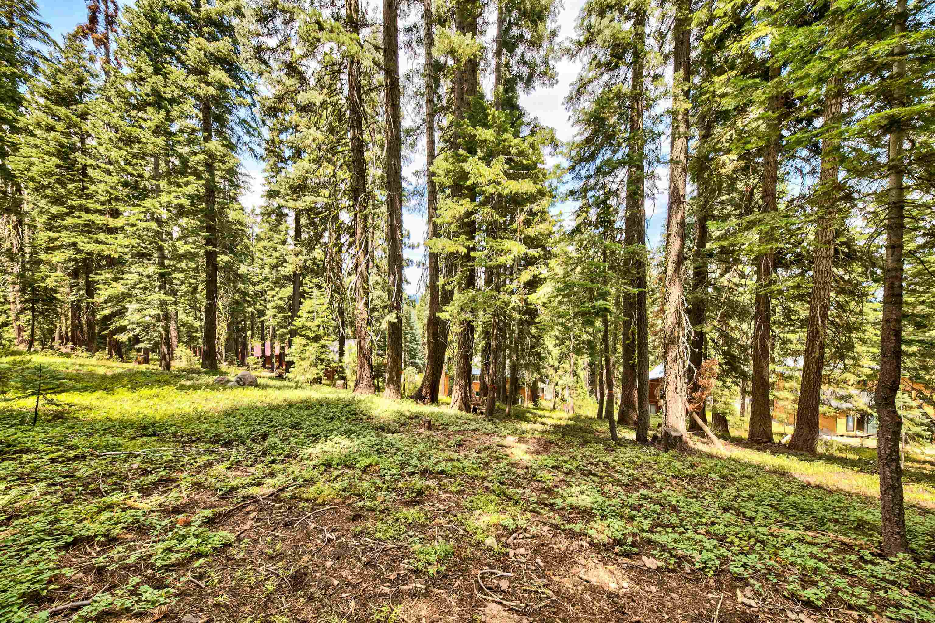 12005 Skislope Way, Truckee, CA, 96161-0000