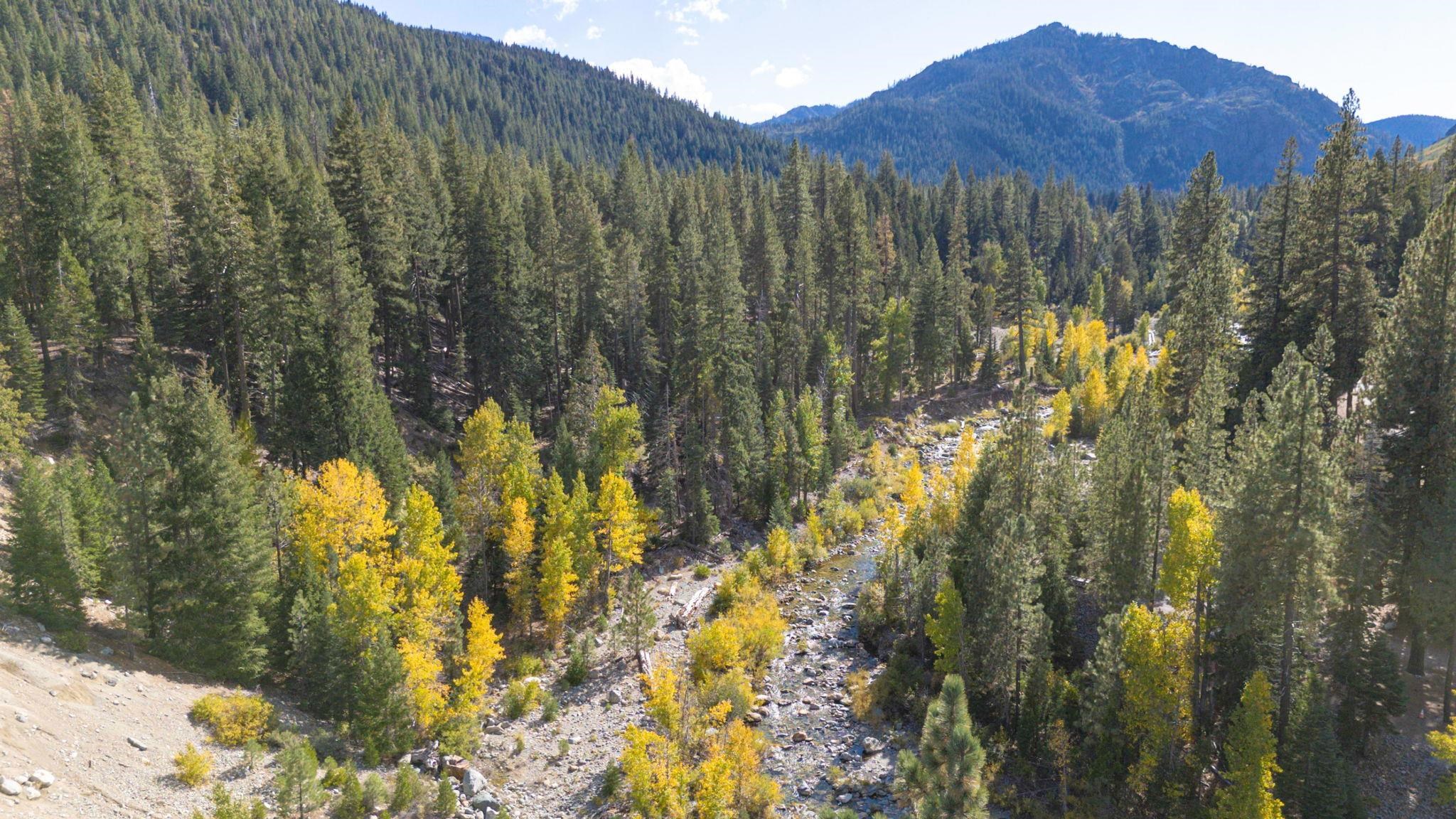 5382 Main Street, Graeagle, CA, 96103