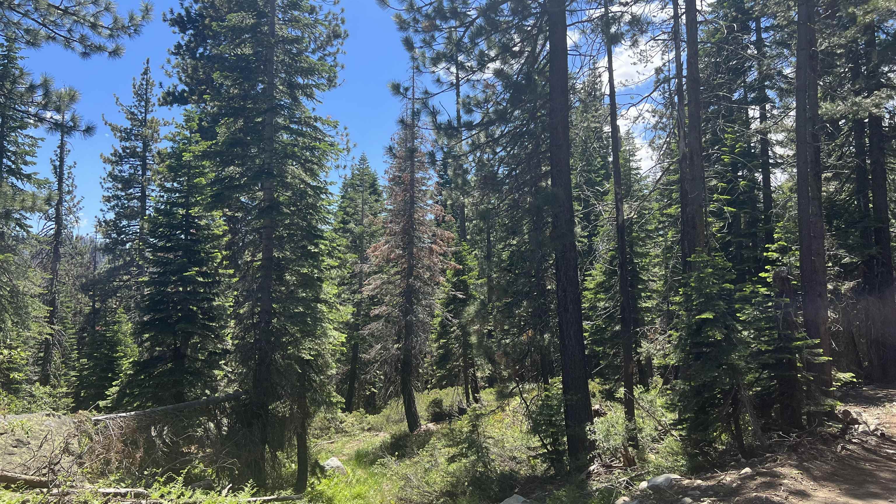 51460 Red Fir Drive, Soda Springs, CA, 95728