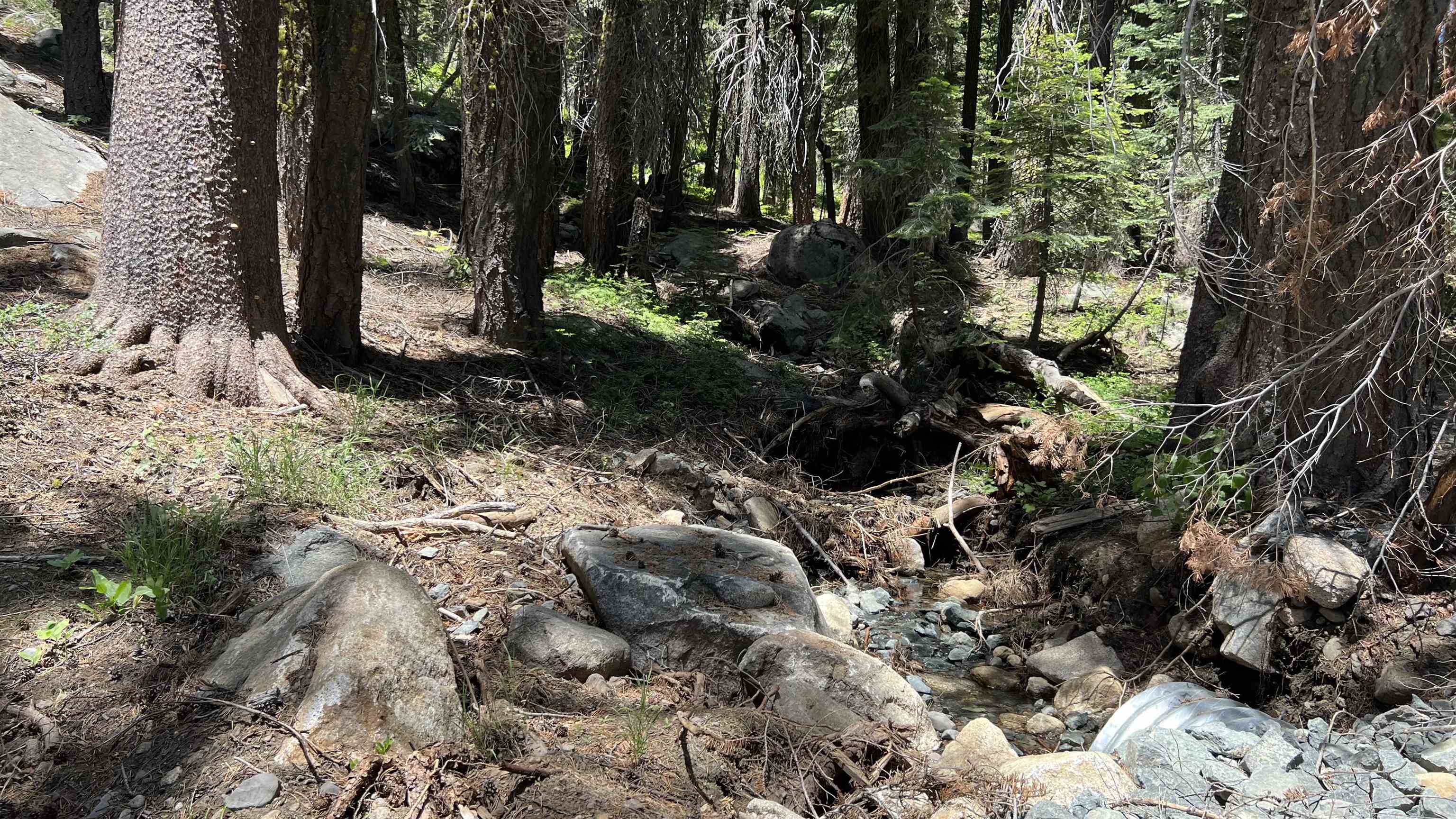 51460 Red Fir Drive, Soda Springs, CA, 95728