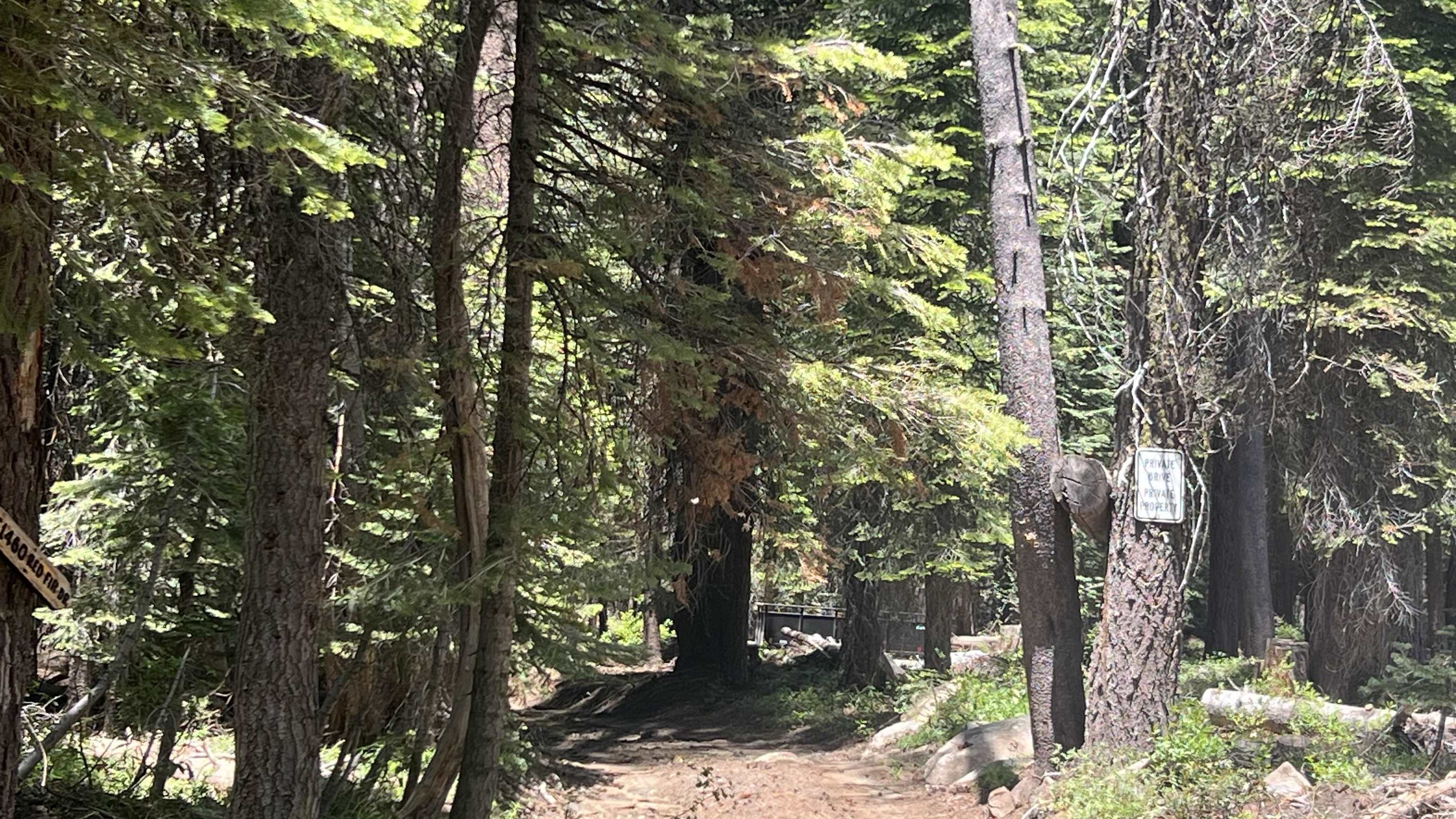 51460 Red Fir Drive, Soda Springs, CA, 95728