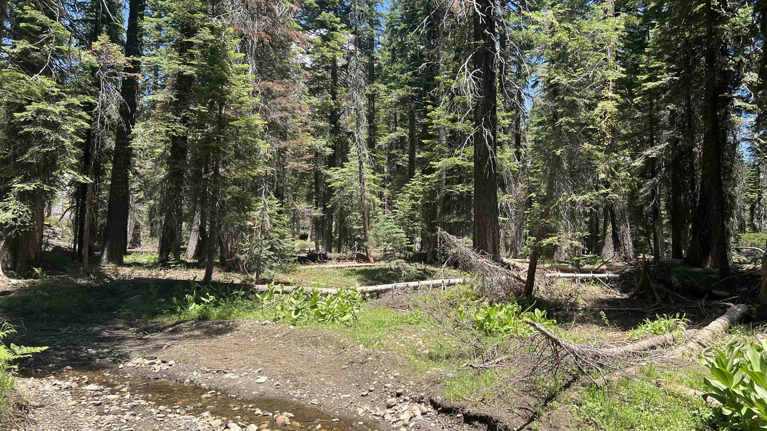 51460 Red Fir Drive, Soda Springs, CA, 95728