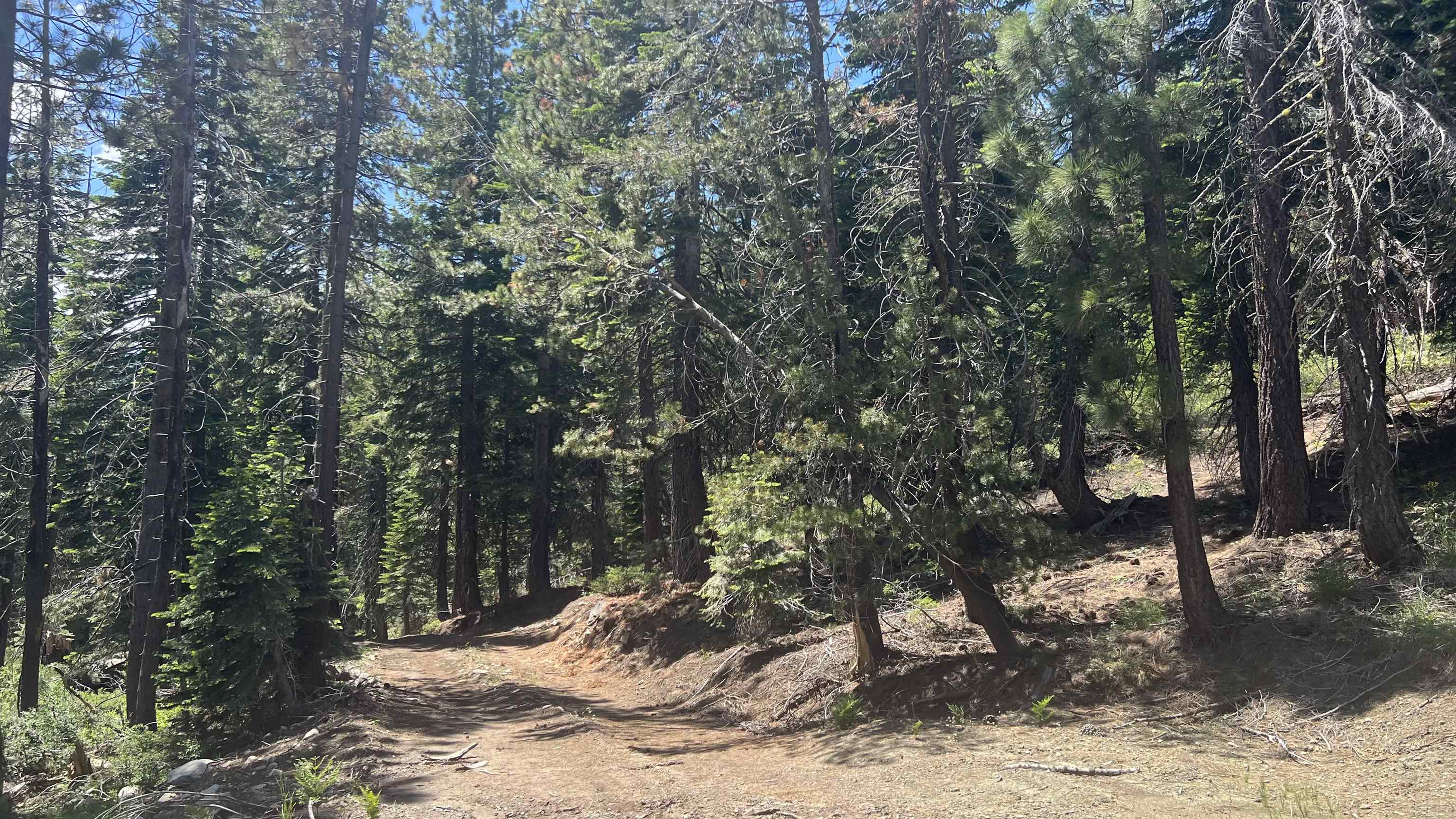 51460 Red Fir Drive, Soda Springs, CA, 95728