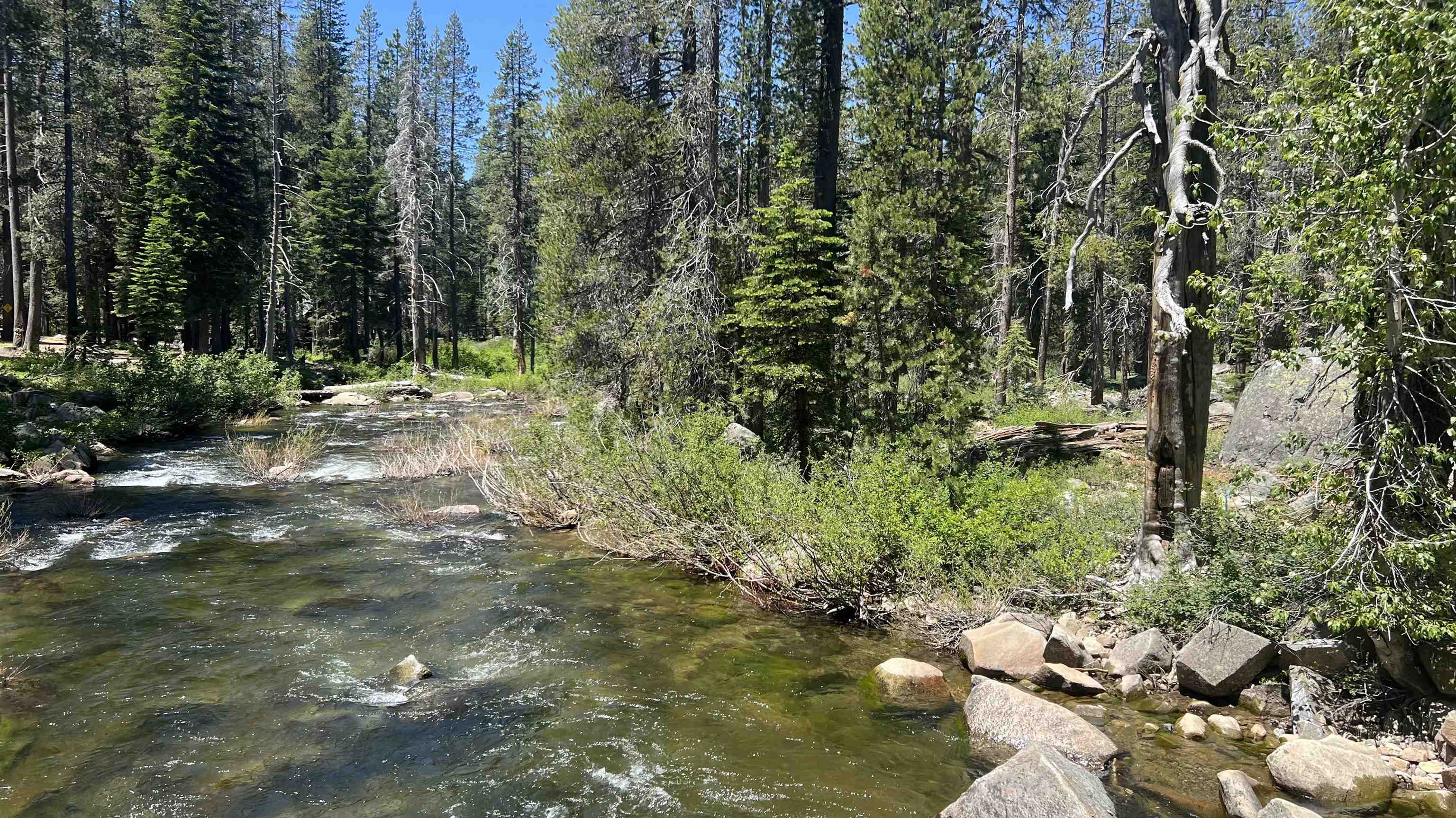 51460 Red Fir Drive, Soda Springs, CA, 95728