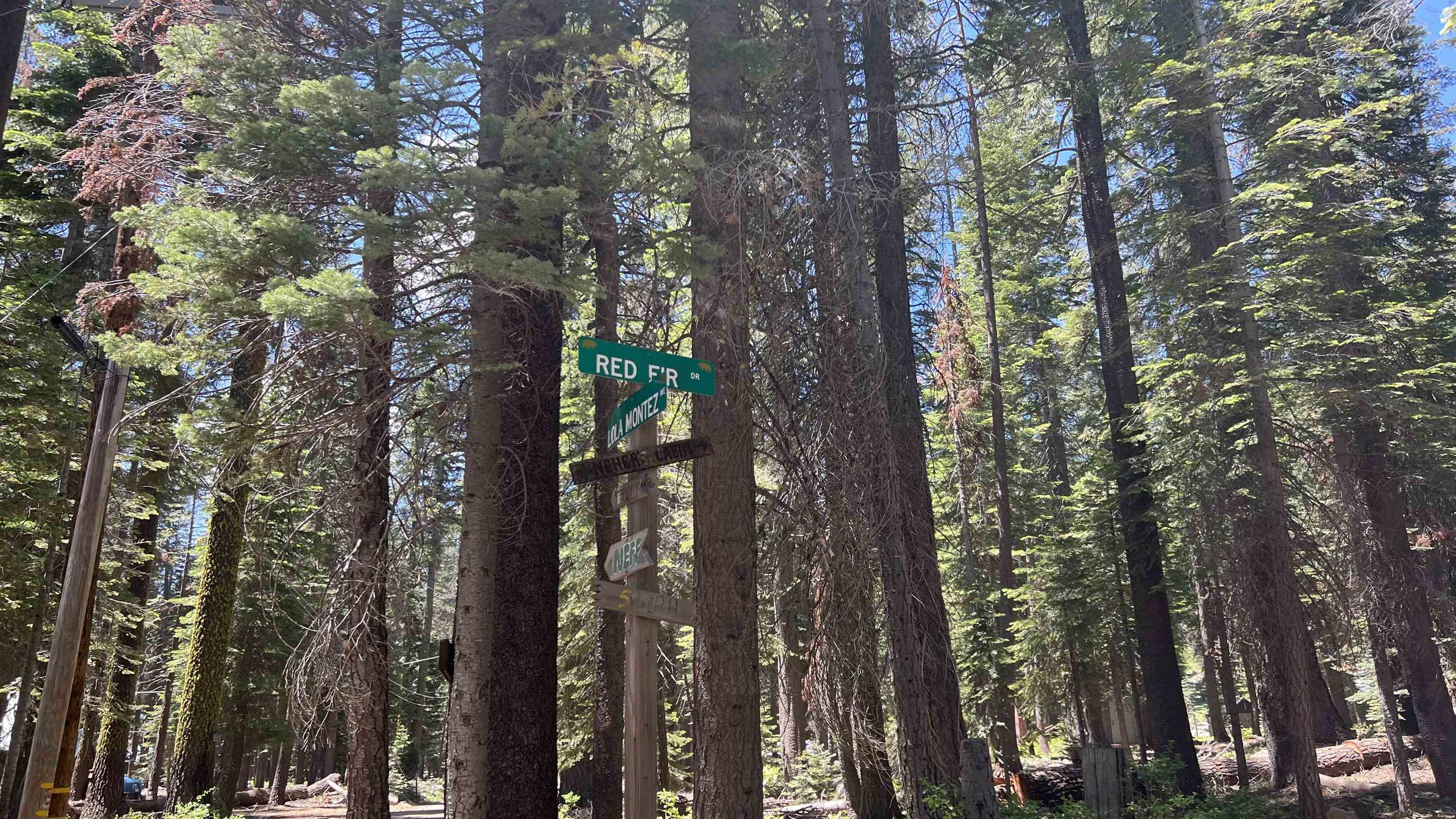 51460 Red Fir Drive, Soda Springs, CA, 95728