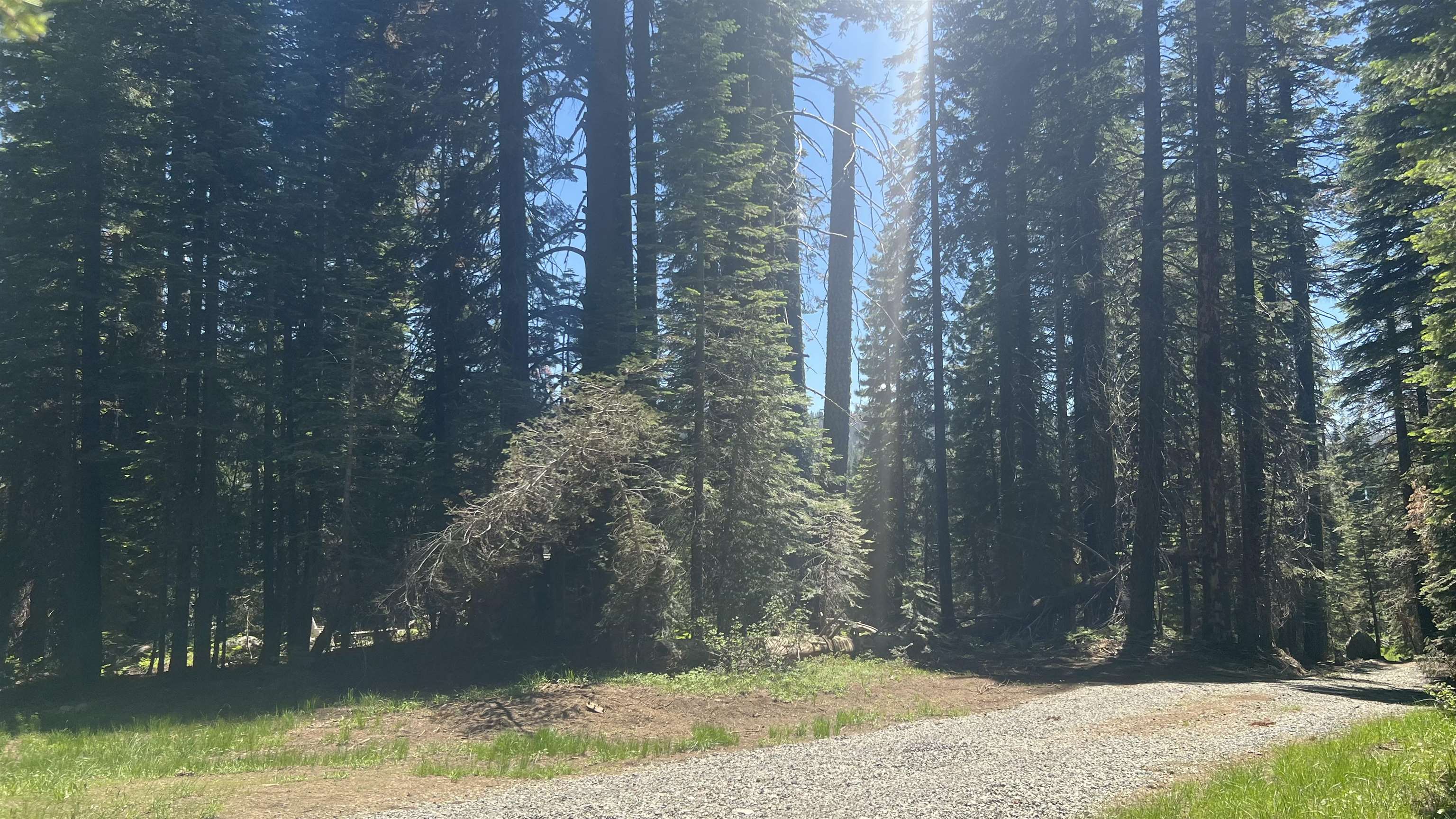 51460 Red Fir Drive, Soda Springs, CA, 95728