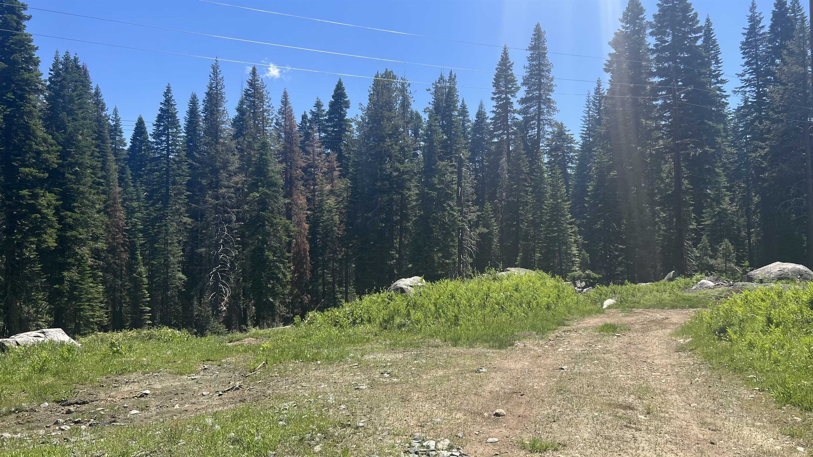 51460 Red Fir Drive, Soda Springs, CA, 95728