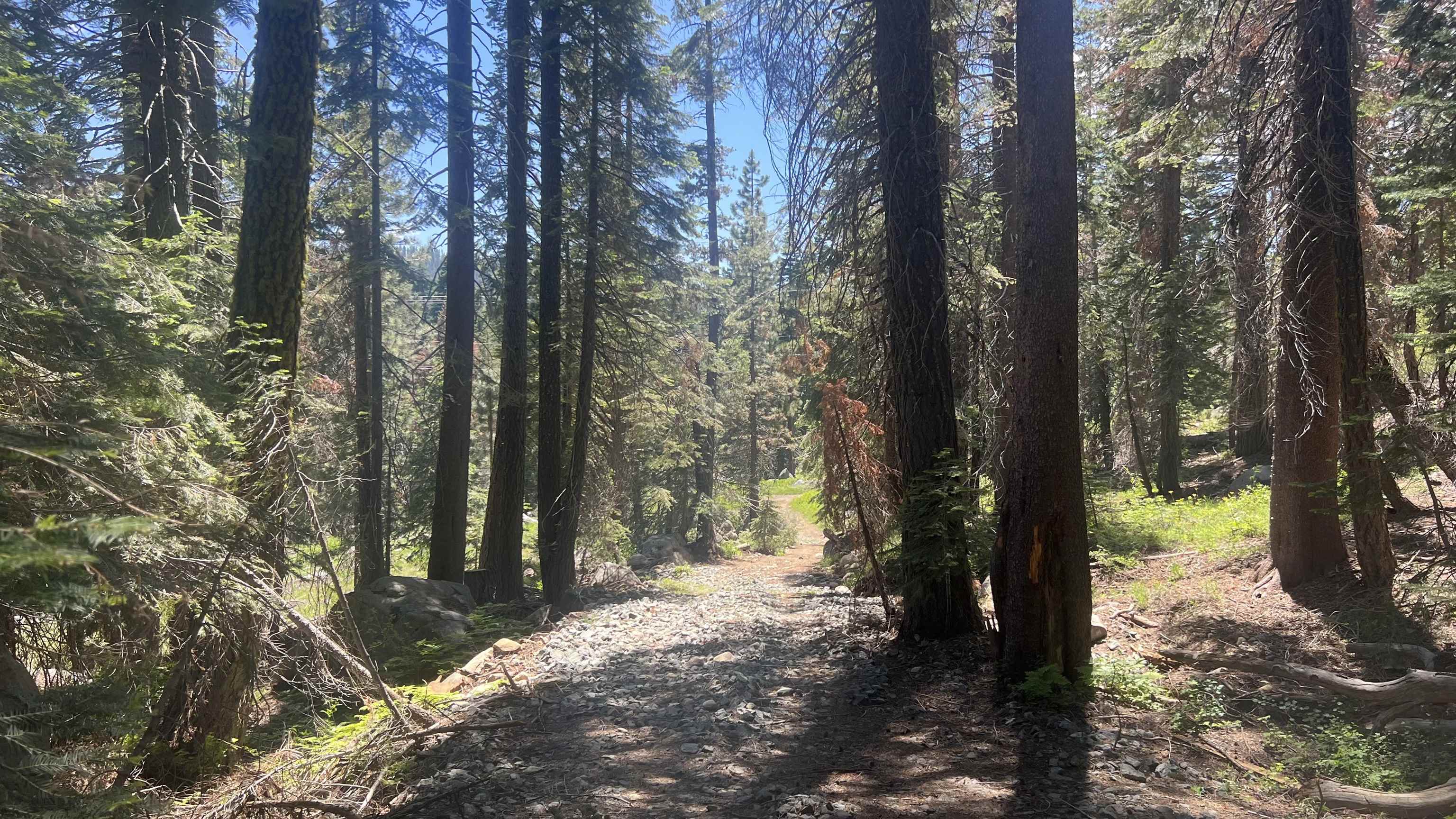 51460 Red Fir Drive, Soda Springs, CA, 95728