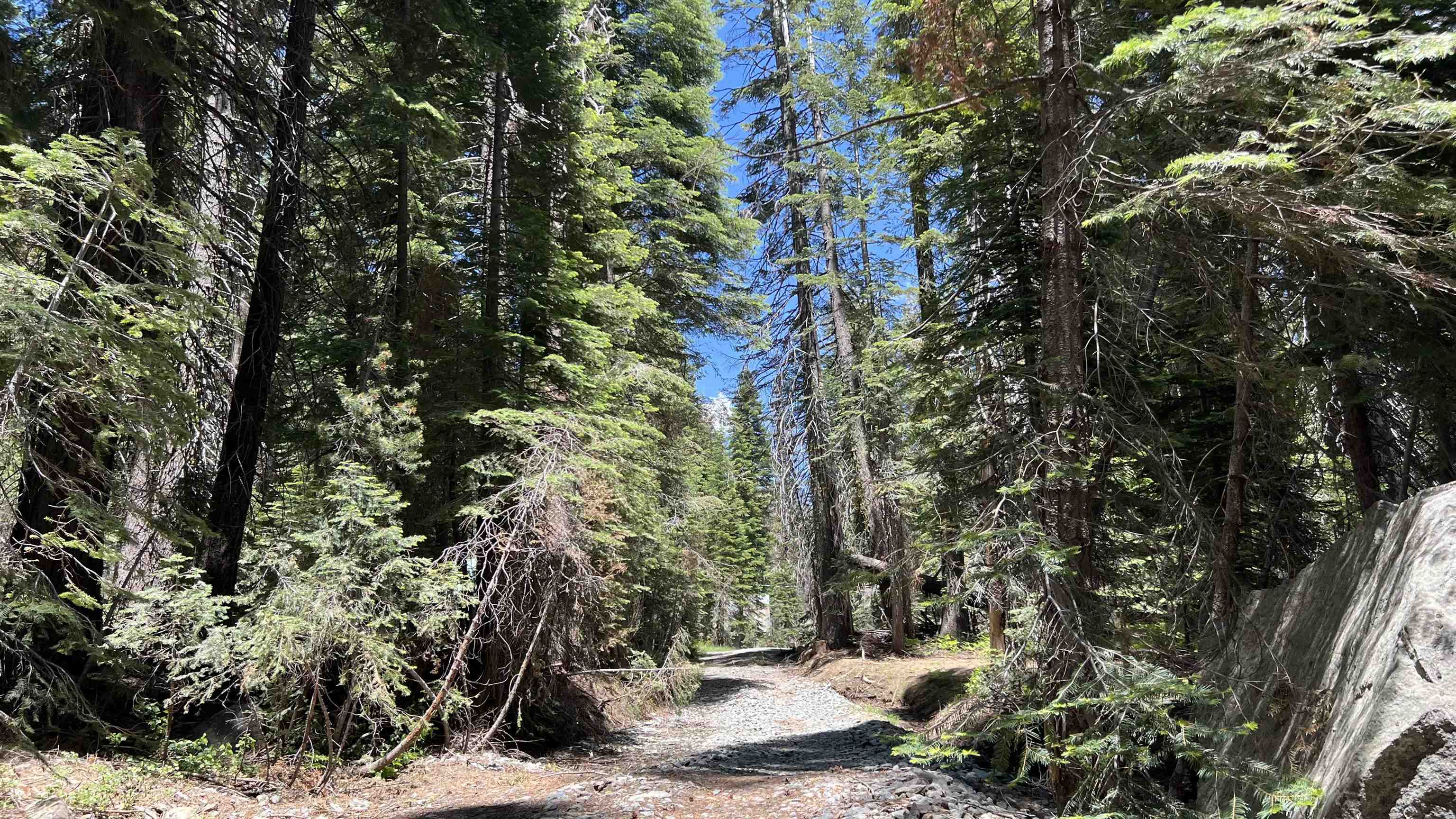 51460 Red Fir Drive, Soda Springs, CA, 95728