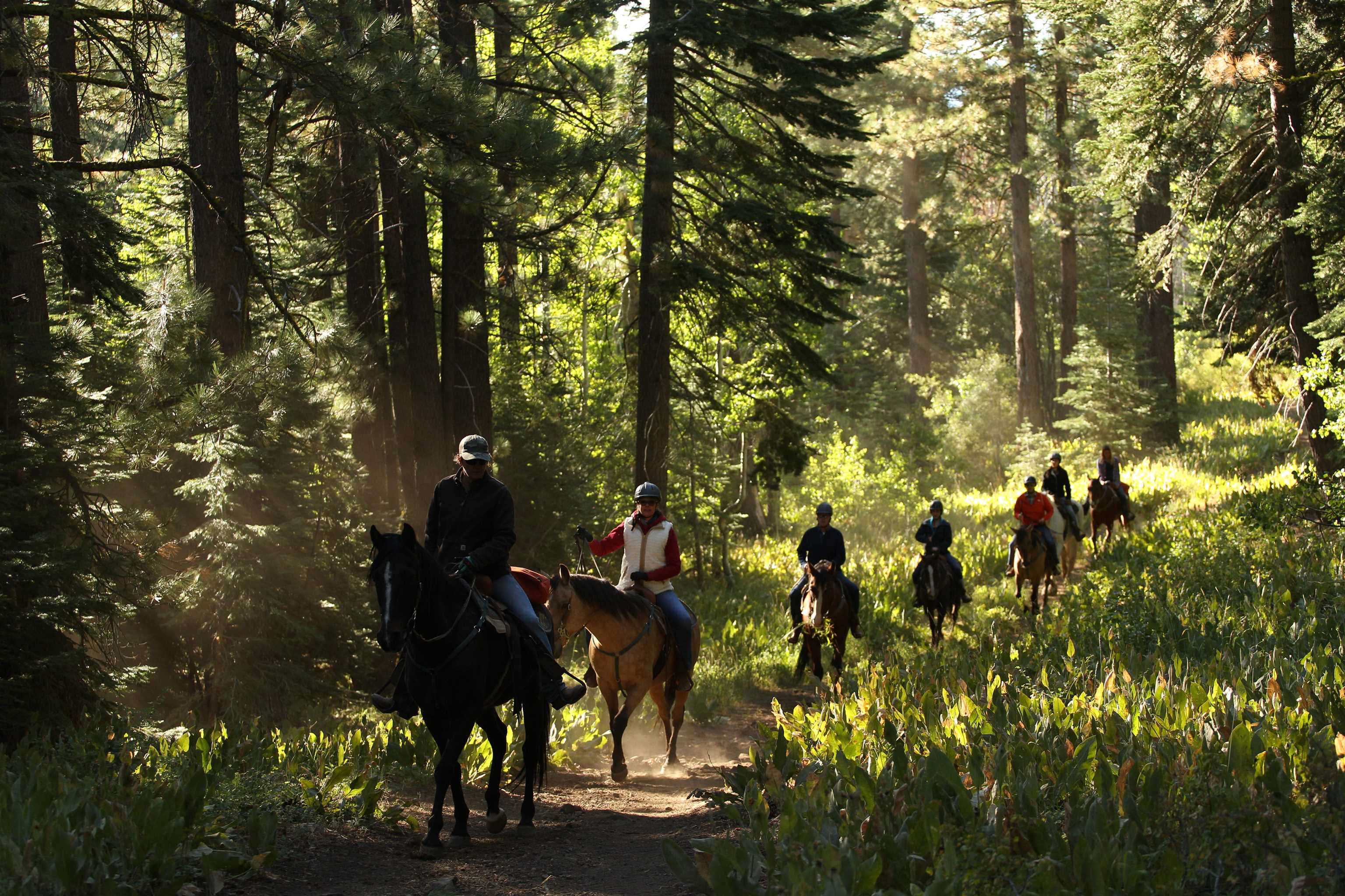 14653 Northwoods Boulevard, Truckee, CA, 96161