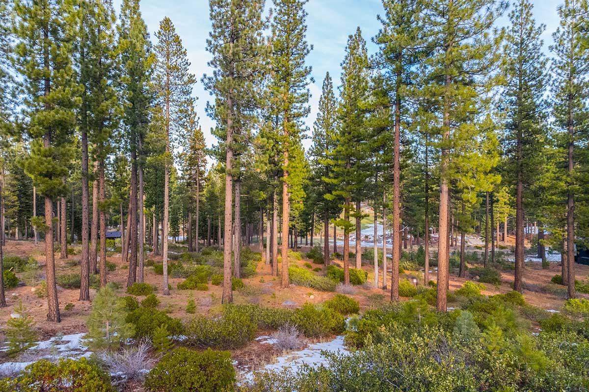 7024 Villandry Circle, Truckee, CA, 96161