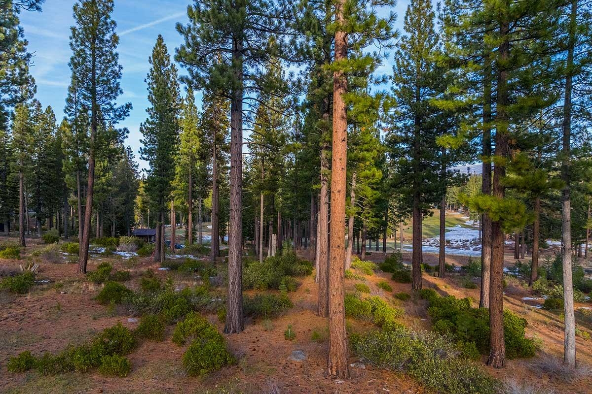 7024 Villandry Circle, Truckee, CA, 96161
