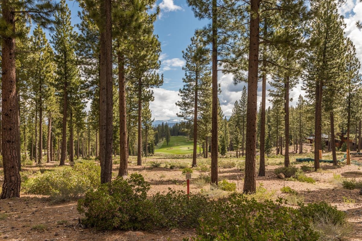 7024 Villandry Circle, Truckee, CA, 96161