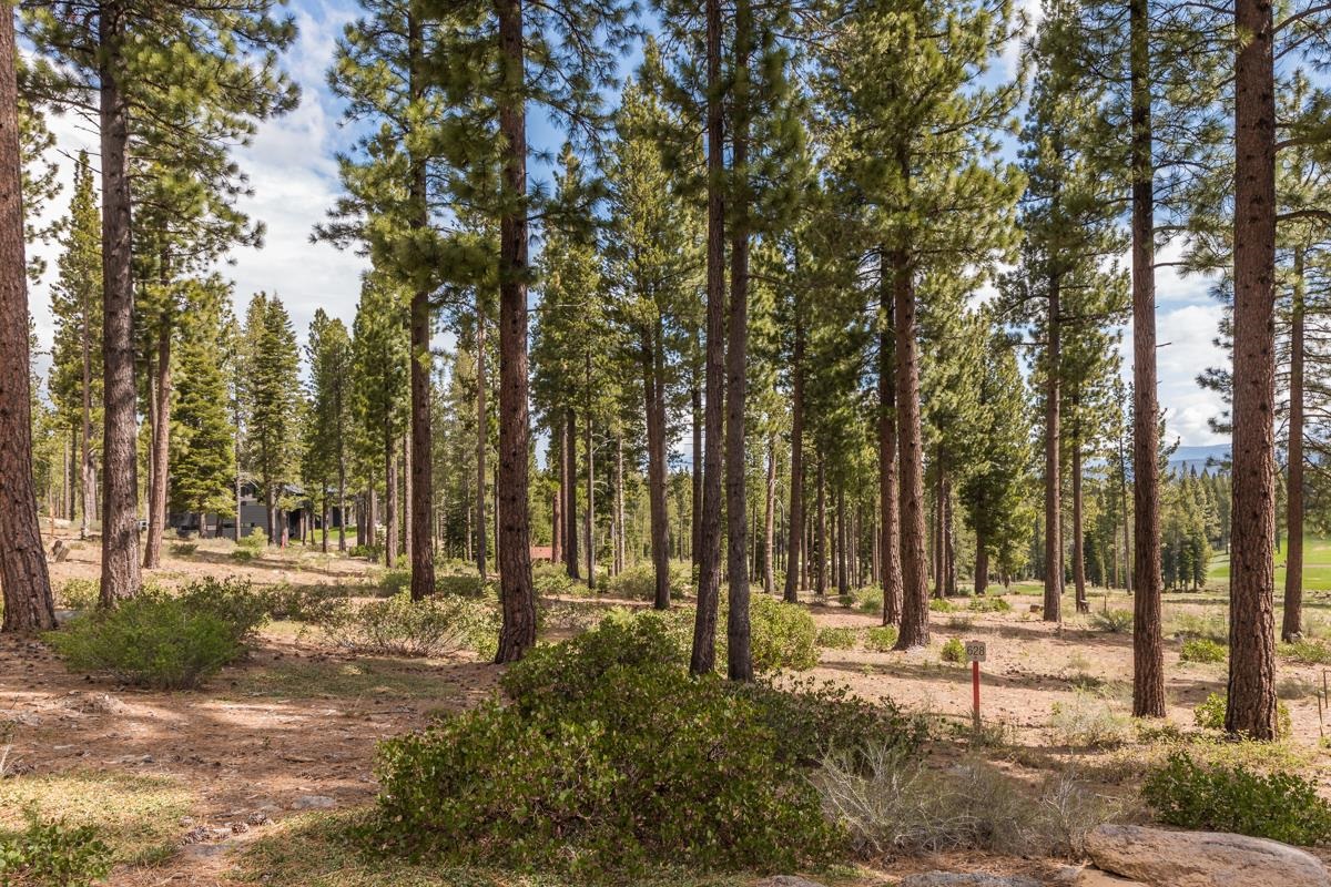 7024 Villandry Circle, Truckee, CA, 96161