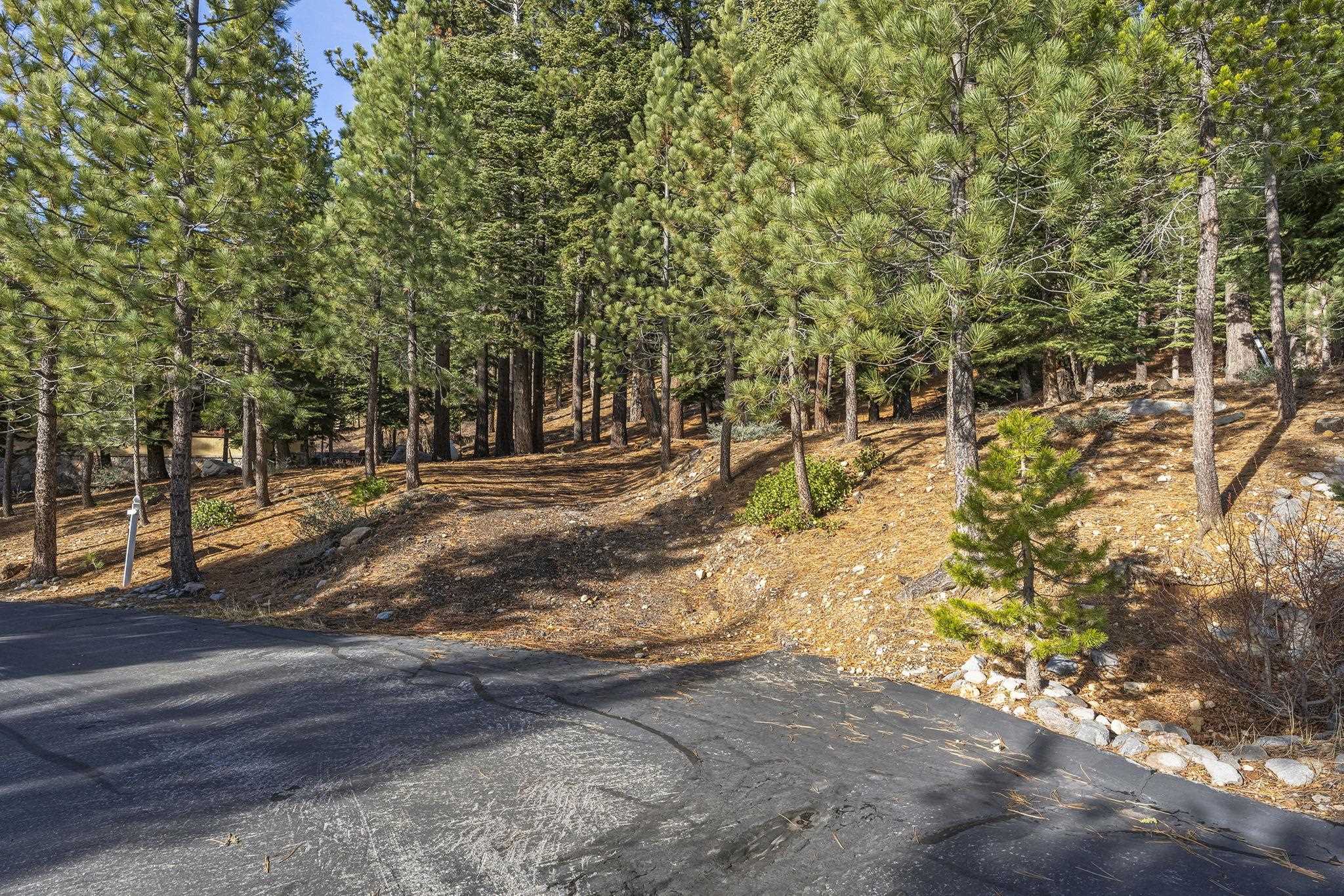 Olympic Valley (Squaw Valley)