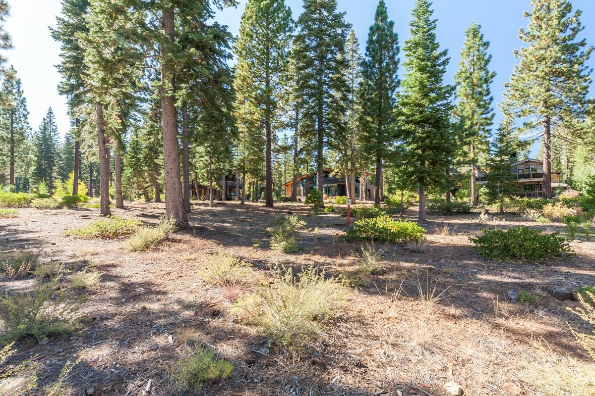 10420 Thunderbird Court, Truckee, CA, 96161