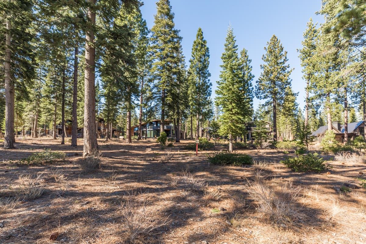 10420 Thunderbird Court, Truckee, CA, 96161